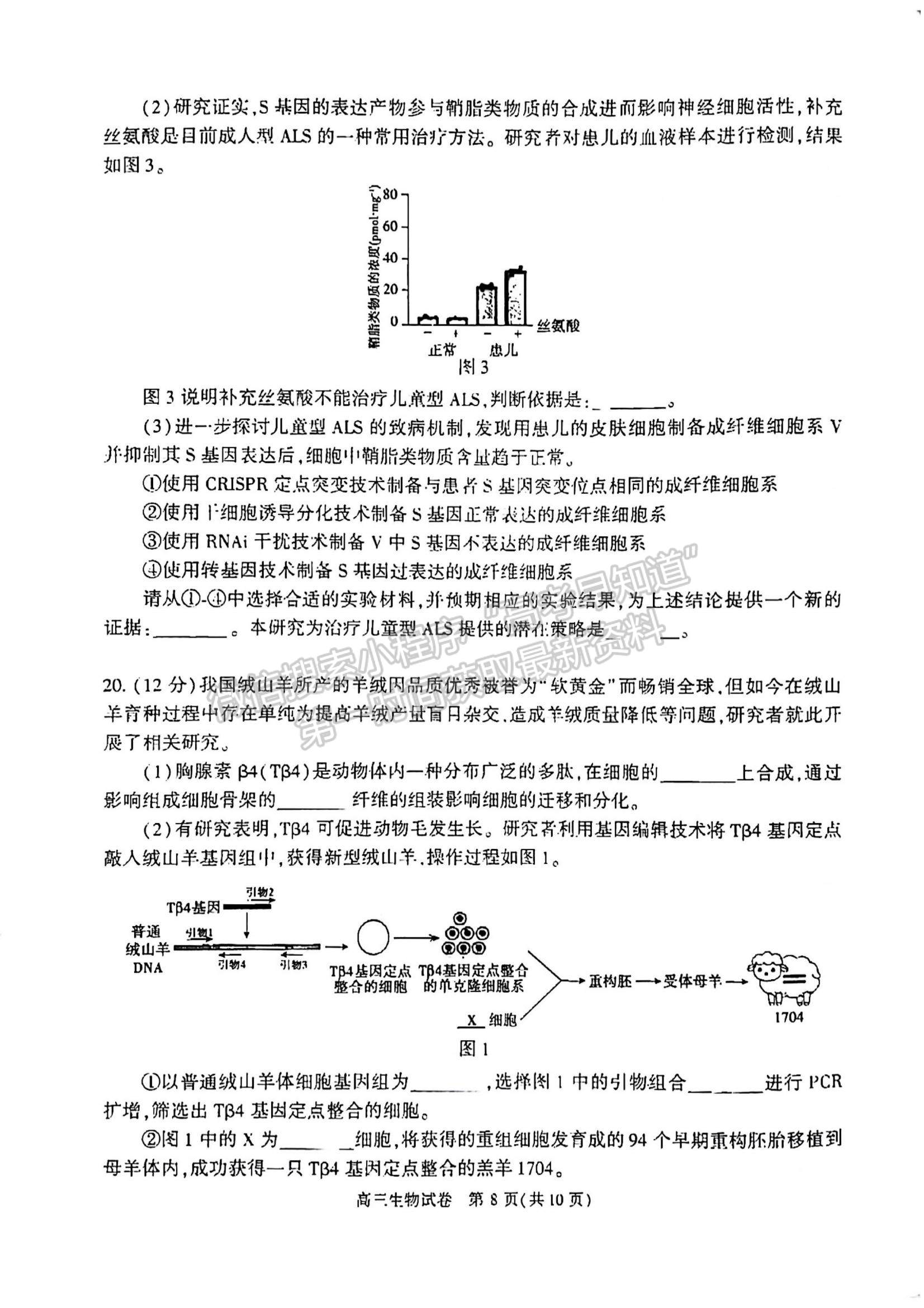 2022北京市朝陽區(qū)高三上學期期中考試生物試題及參考答案