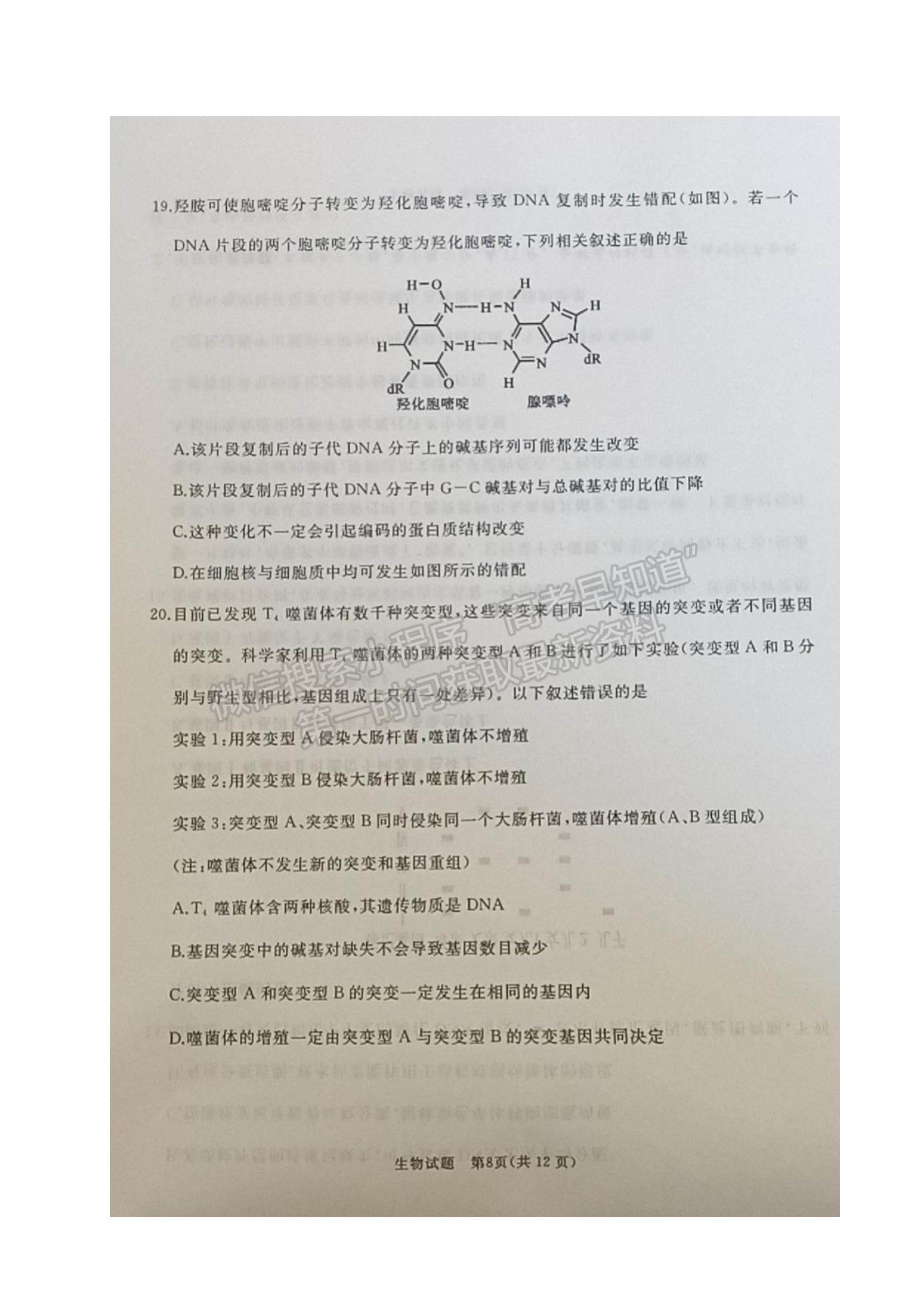 2022山東省棗莊滕州市高三上學(xué)期期中考試生物試題及參考答案