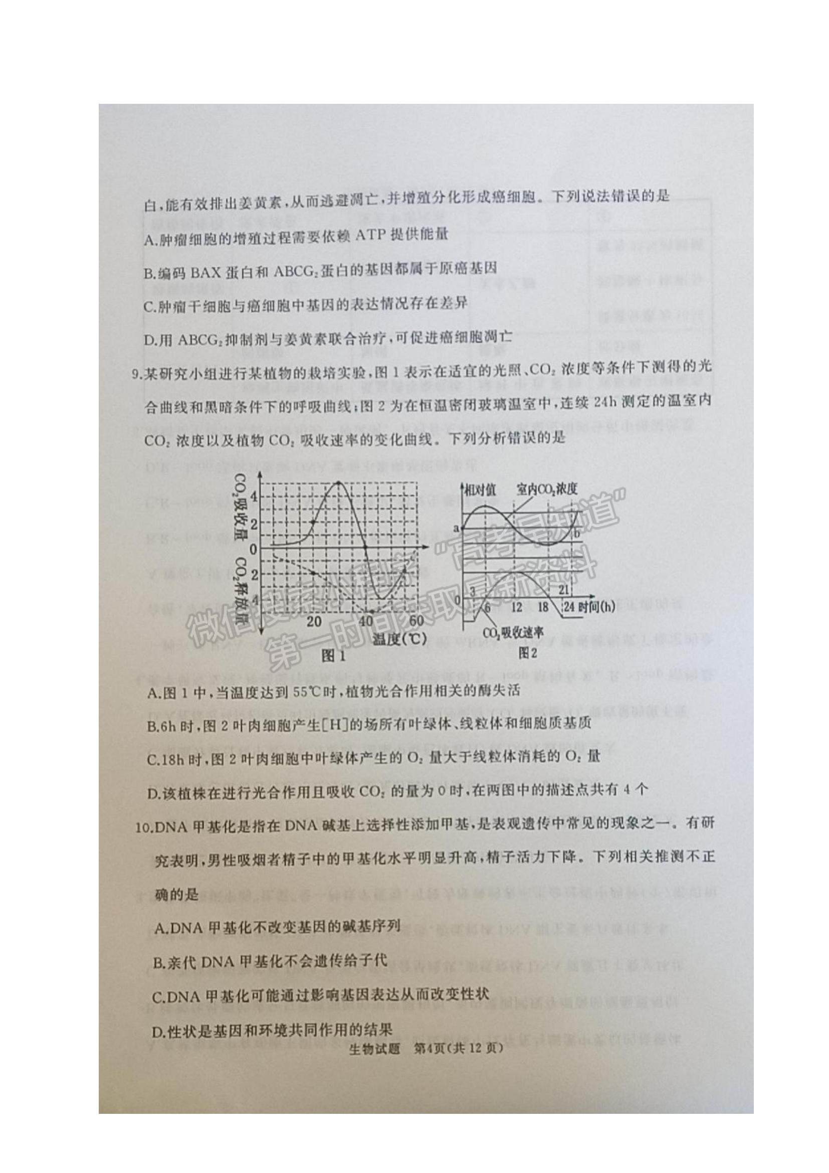 2022山東省棗莊滕州市高三上學期期中考試生物試題及參考答案