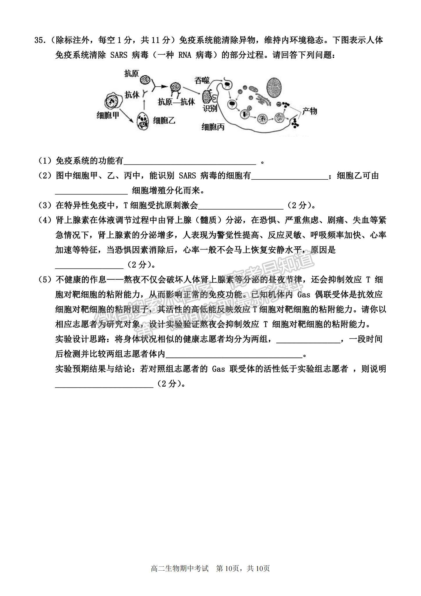 2022河南駐馬店第一高級(jí)中學(xué)高二上學(xué)期期中考試生物試題及參考答案