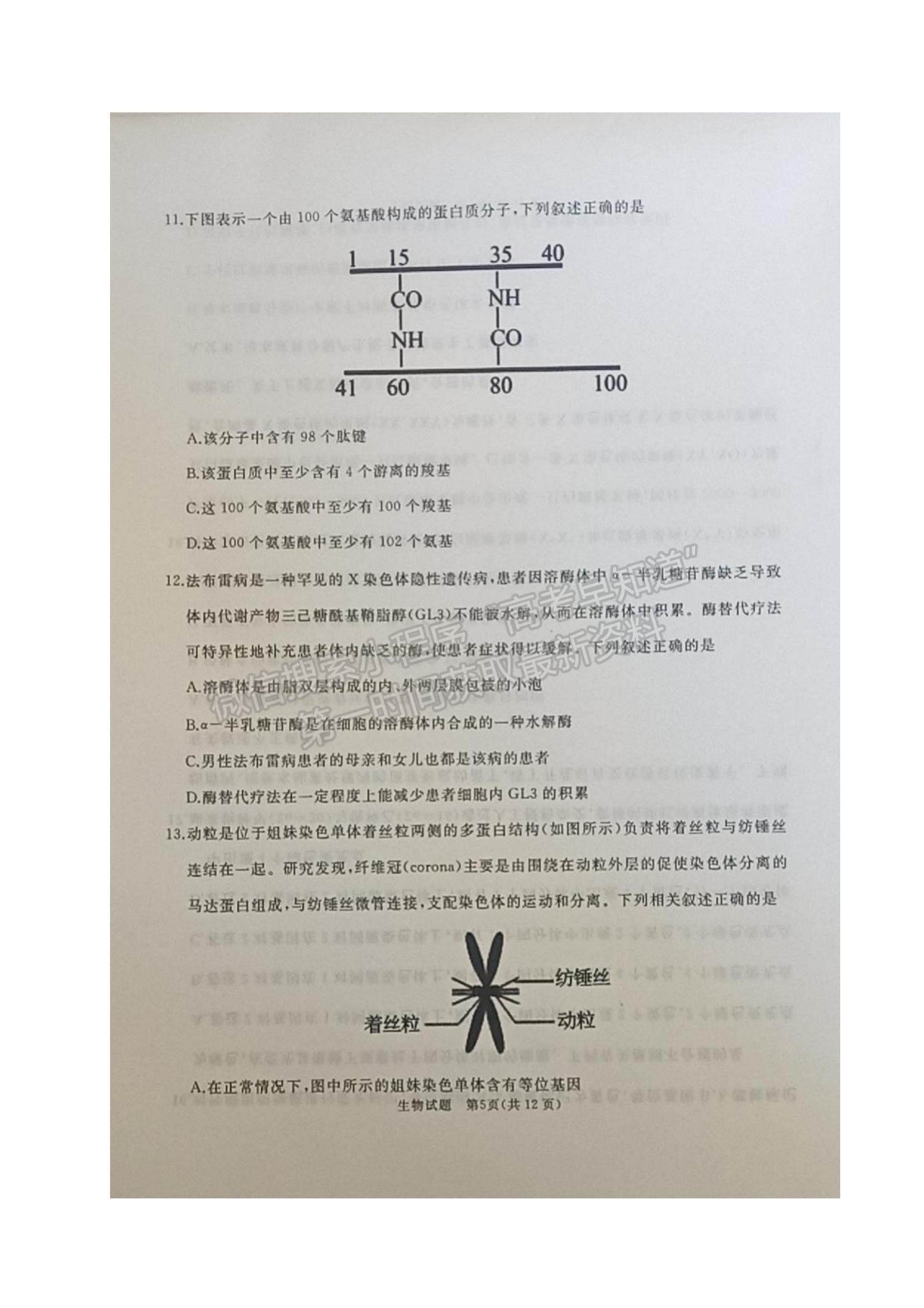 2022山東省棗莊滕州市高三上學(xué)期期中考試生物試題及參考答案