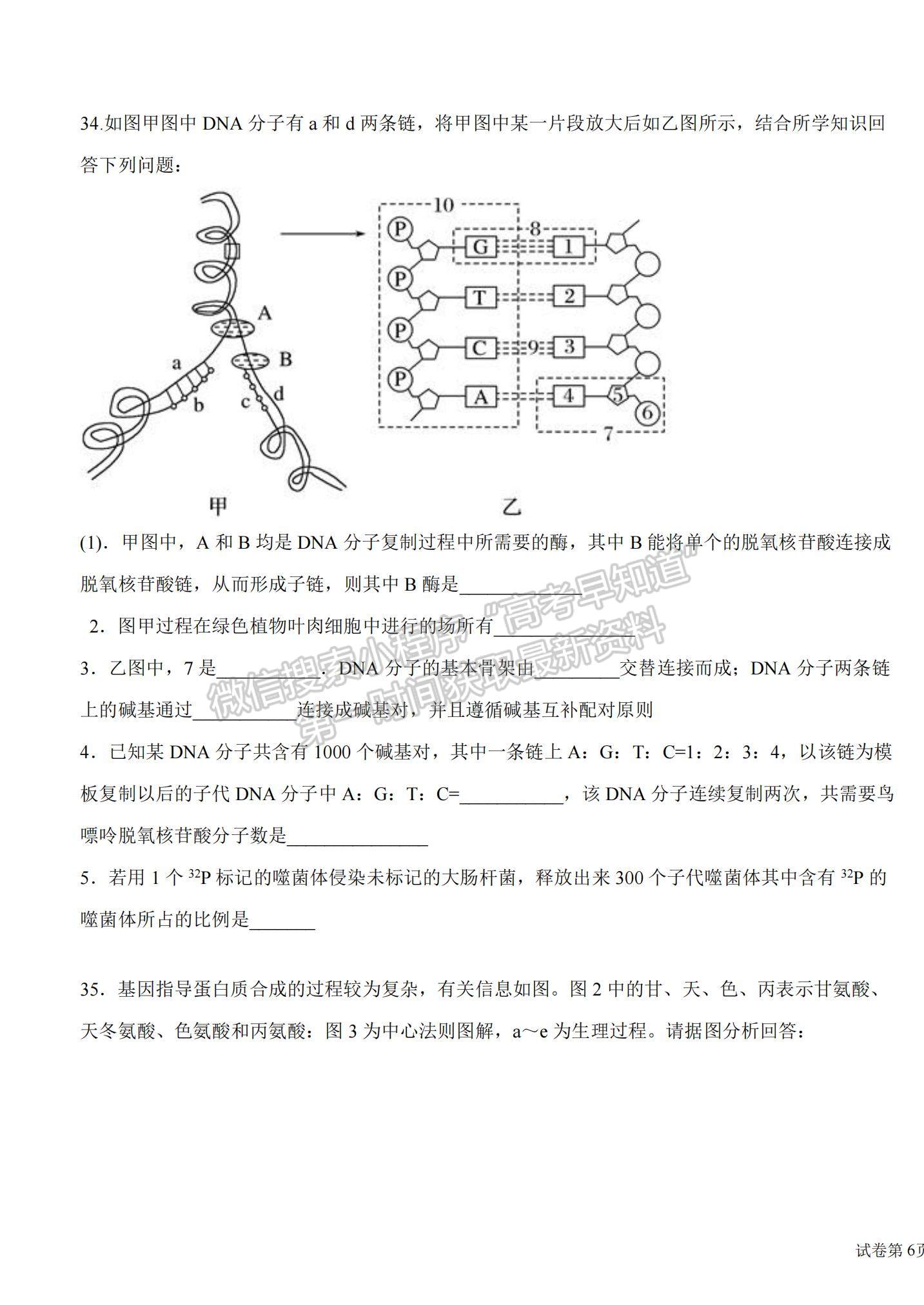 2022江西省吉安市第一中學(xué)高二上學(xué)期開(kāi)學(xué)考試生物試題及參考答案