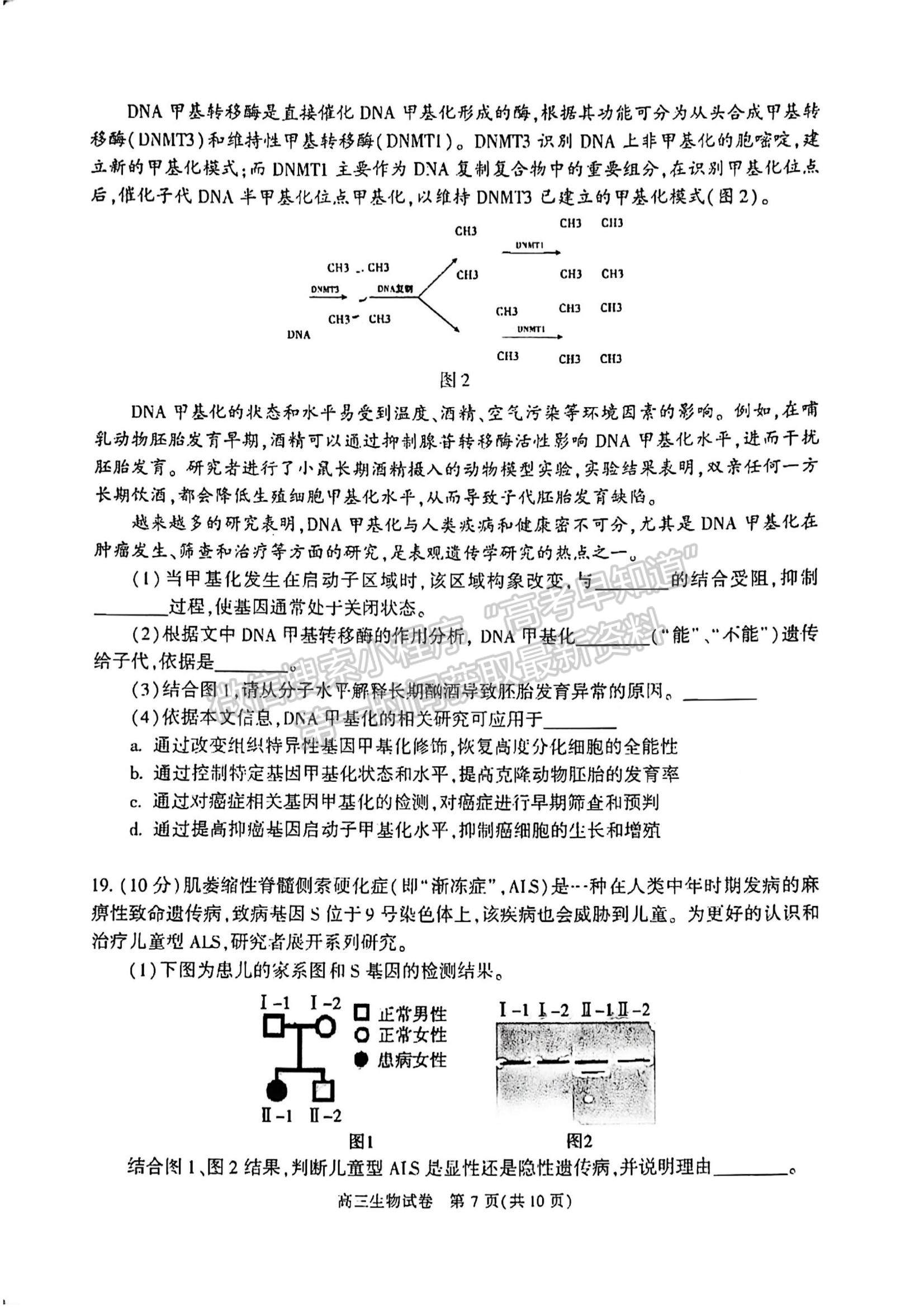 2022北京市朝陽區(qū)高三上學期期中考試生物試題及參考答案