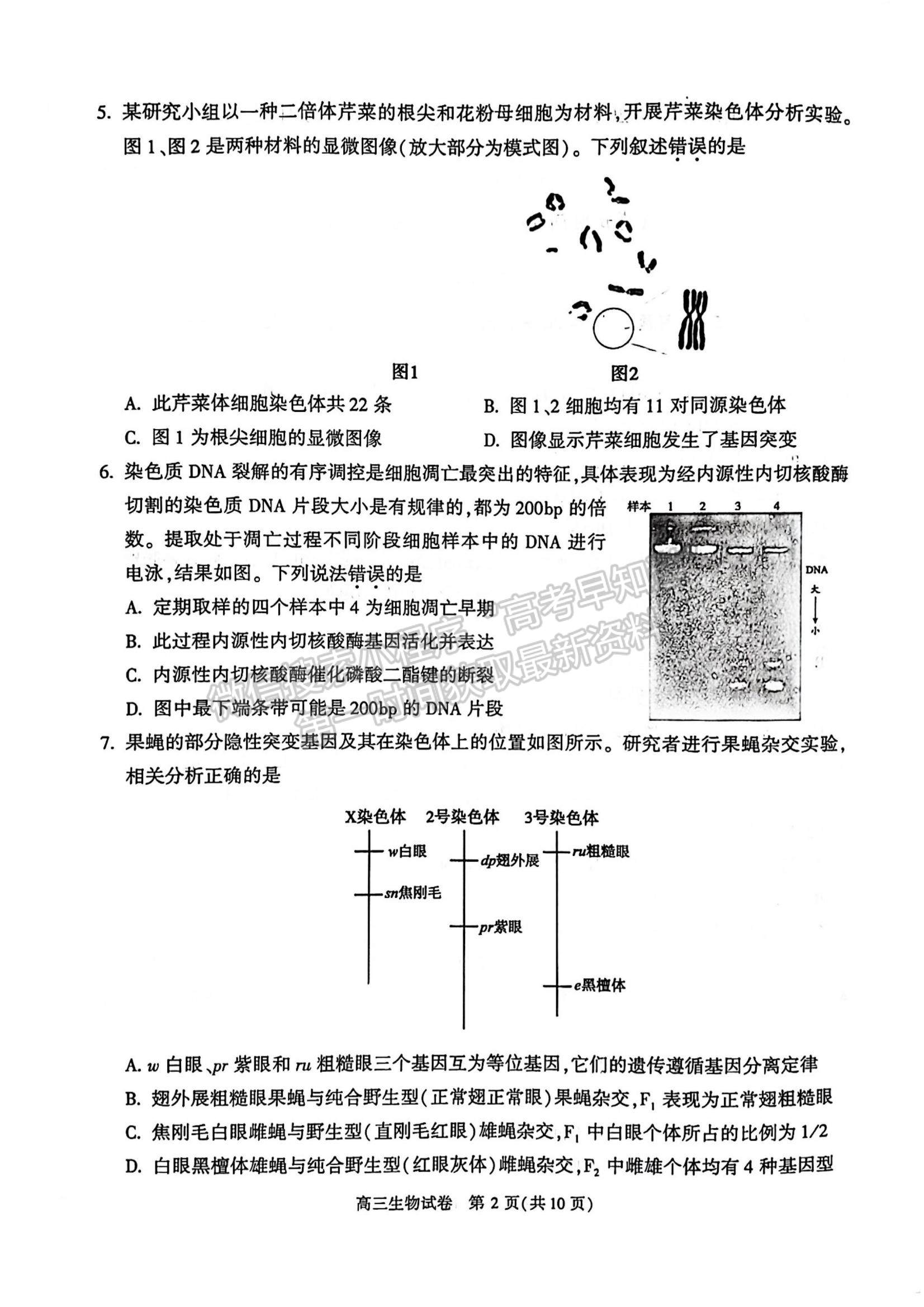 2022北京市朝陽區(qū)高三上學期期中考試生物試題及參考答案