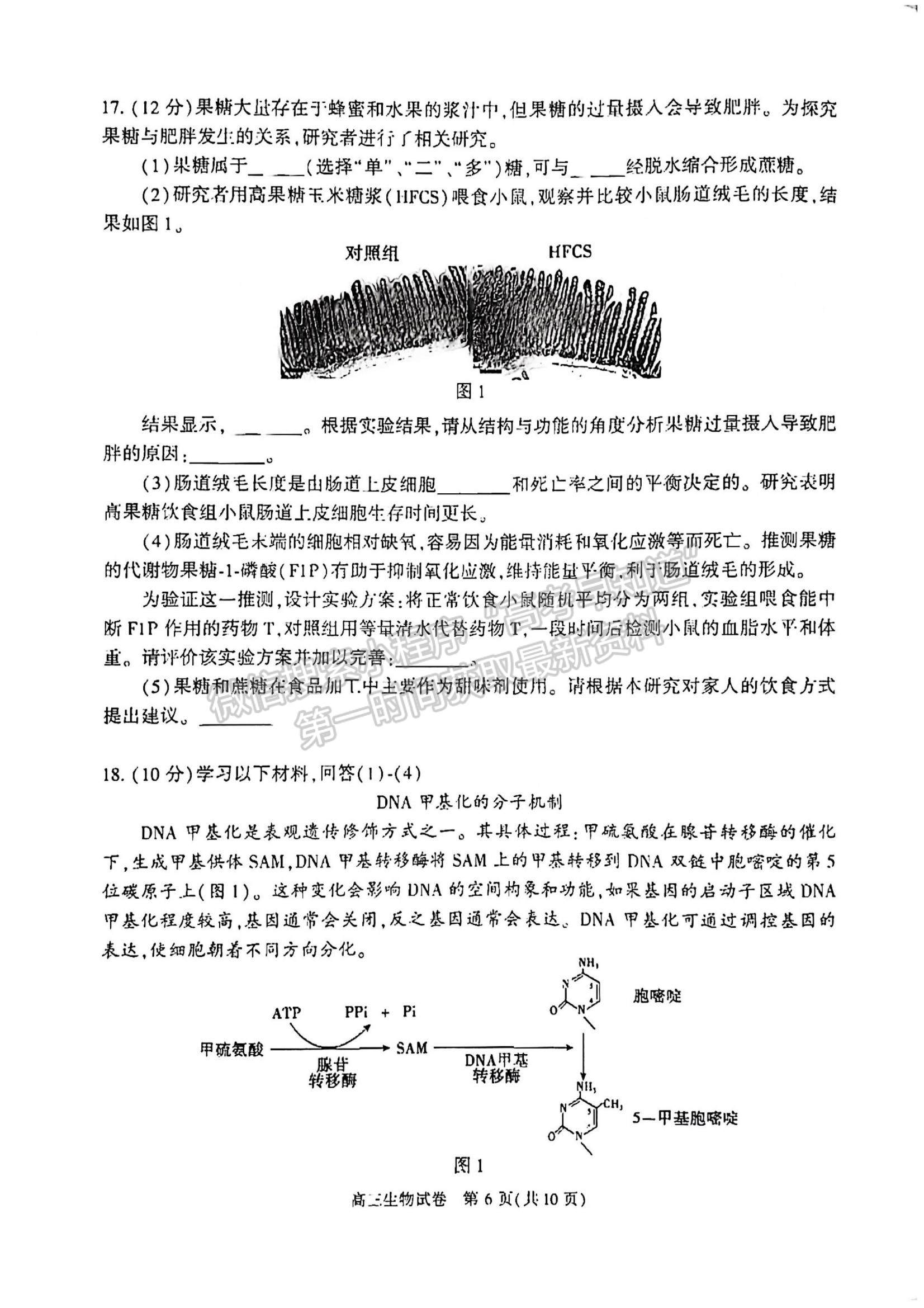 2022北京市朝陽區(qū)高三上學期期中考試生物試題及參考答案