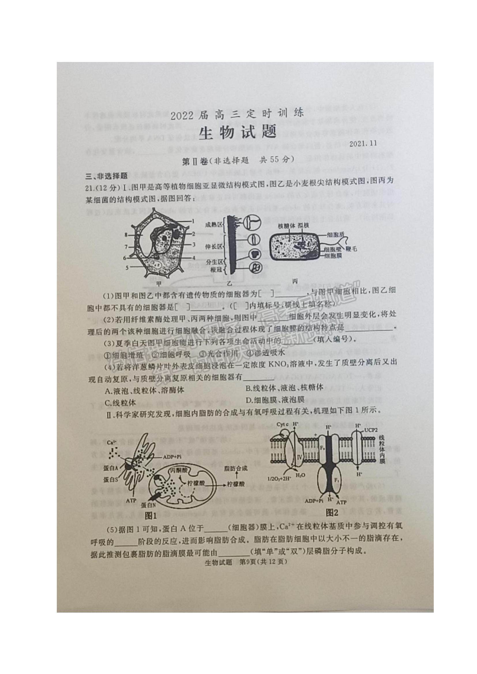 2022山東省棗莊滕州市高三上學(xué)期期中考試生物試題及參考答案