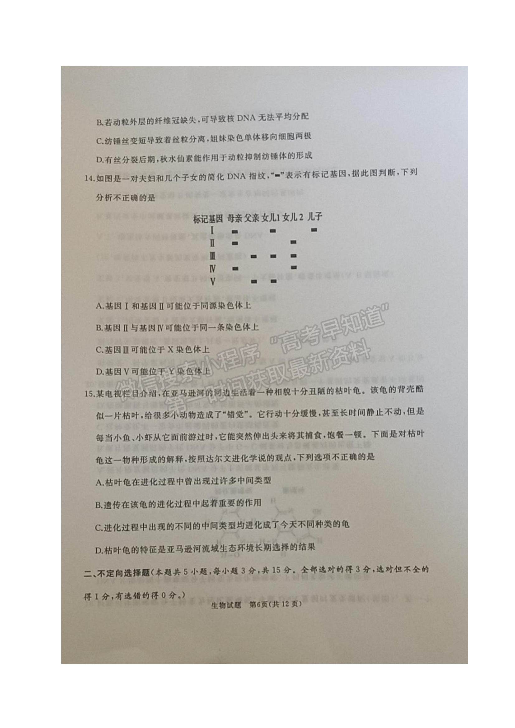 2022山東省棗莊滕州市高三上學(xué)期期中考試生物試題及參考答案