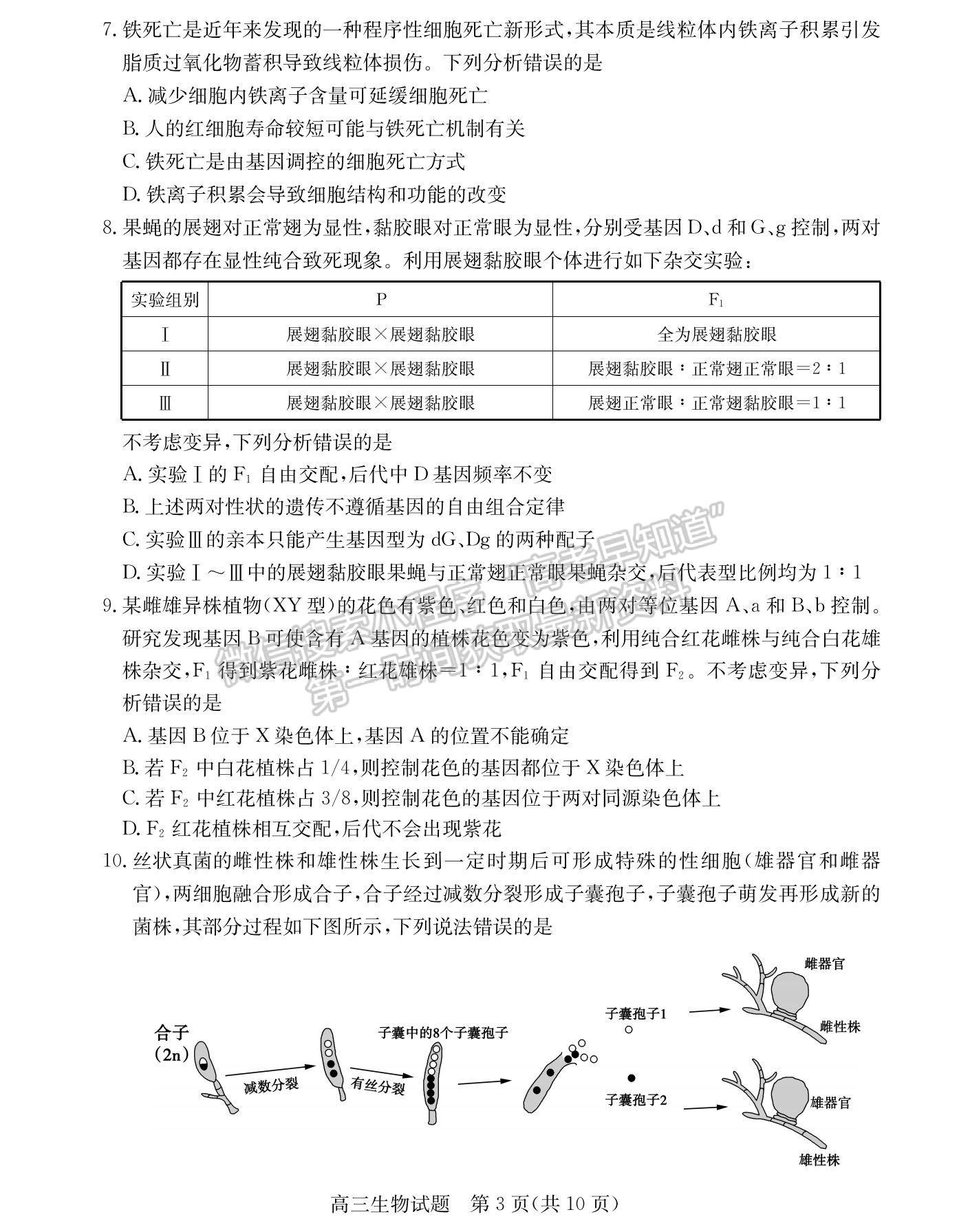 2022山東省德州市高三上學期期中考試生物試題及參考答案