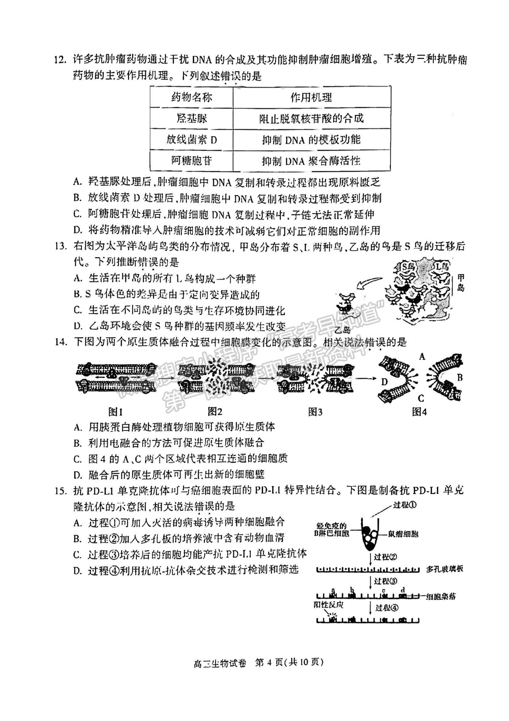 2022北京市朝陽區(qū)高三上學期期中考試生物試題及參考答案