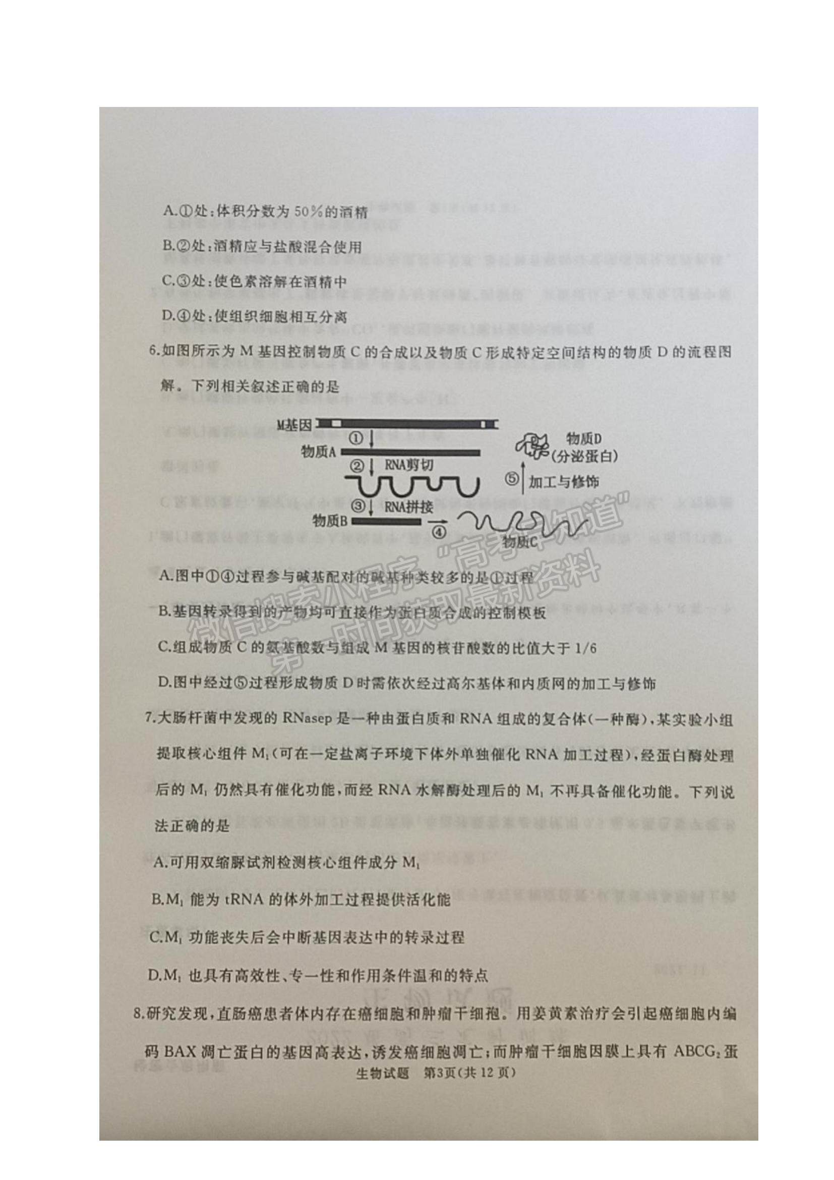 2022山東省棗莊滕州市高三上學(xué)期期中考試生物試題及參考答案