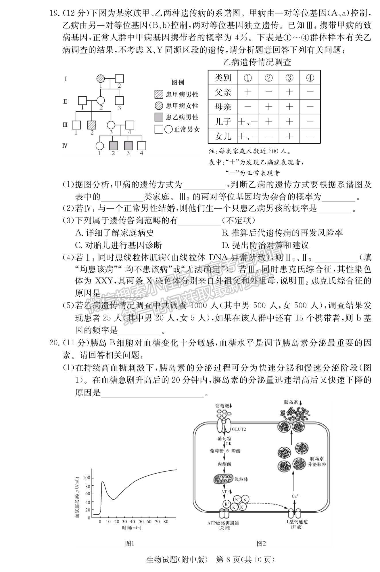 2022湖師大附中高三上學(xué)期月考（三）生物試題及參考答案