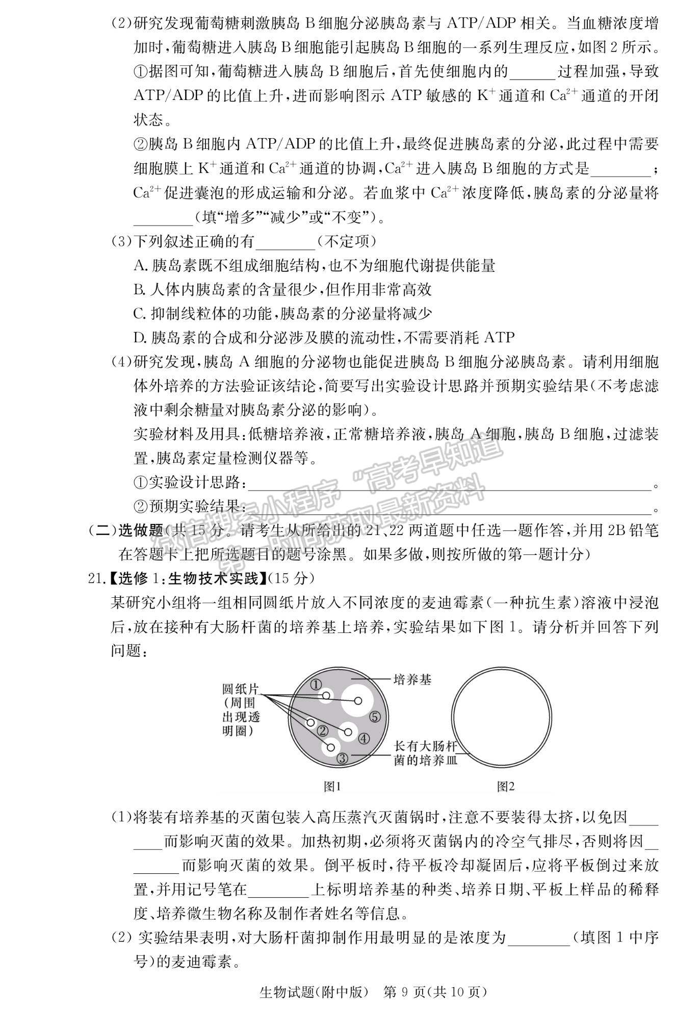 2022湖師大附中高三上學(xué)期月考（三）生物試題及參考答案