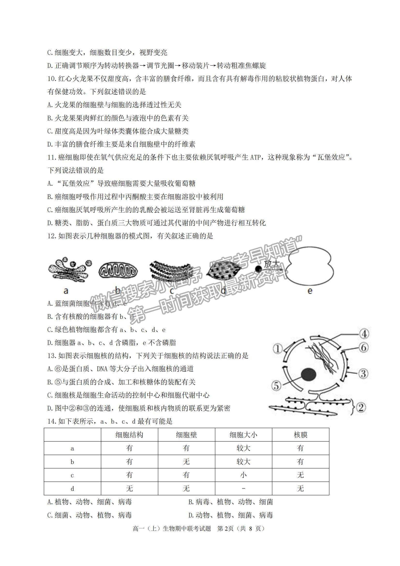 2022浙江省臺州市“十校聯(lián)盟”高一上學(xué)期期中考試生物試題及參考答案