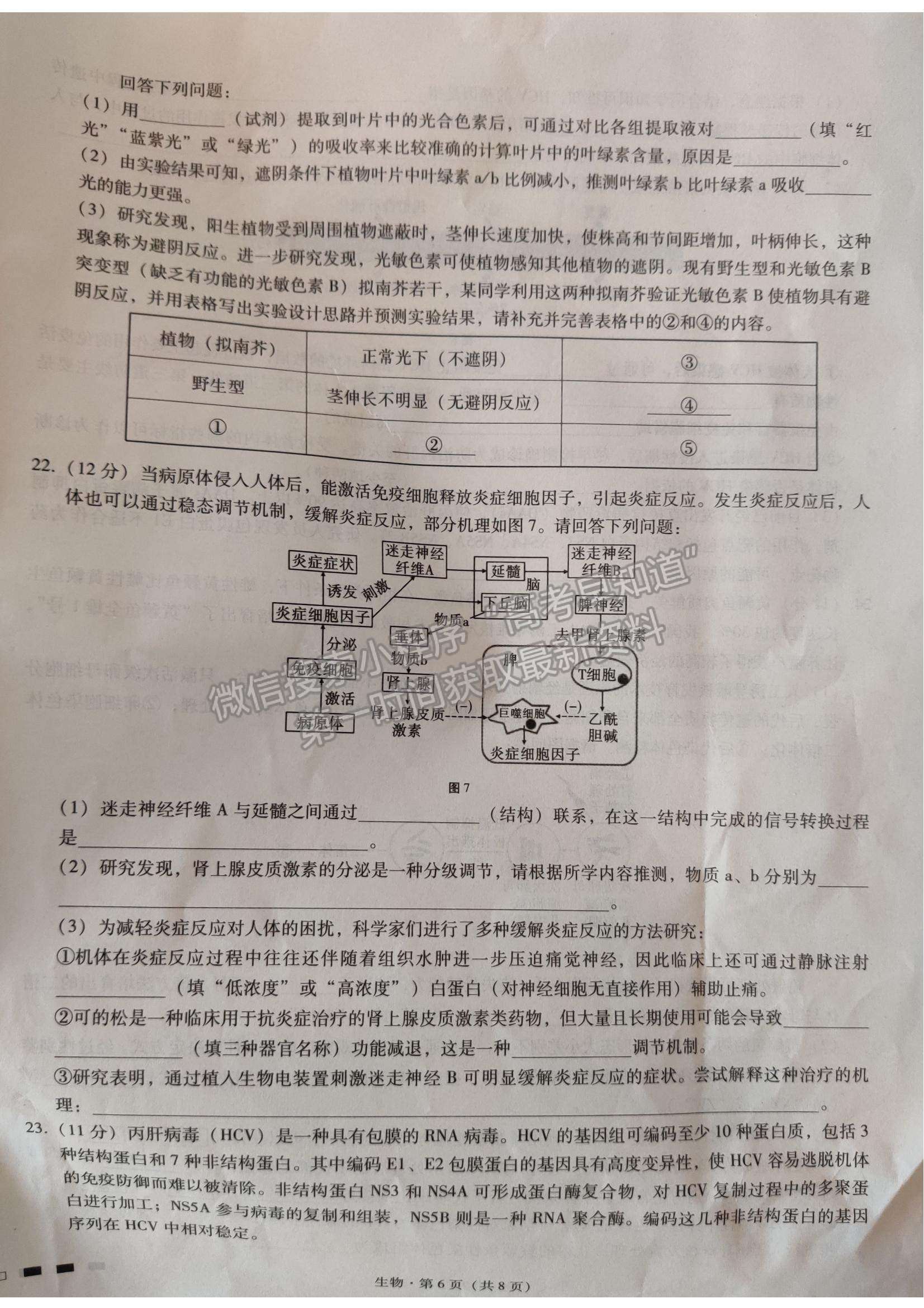 2022重慶巴蜀中學(xué)高考適應(yīng)性月考（四）生物試卷及答案