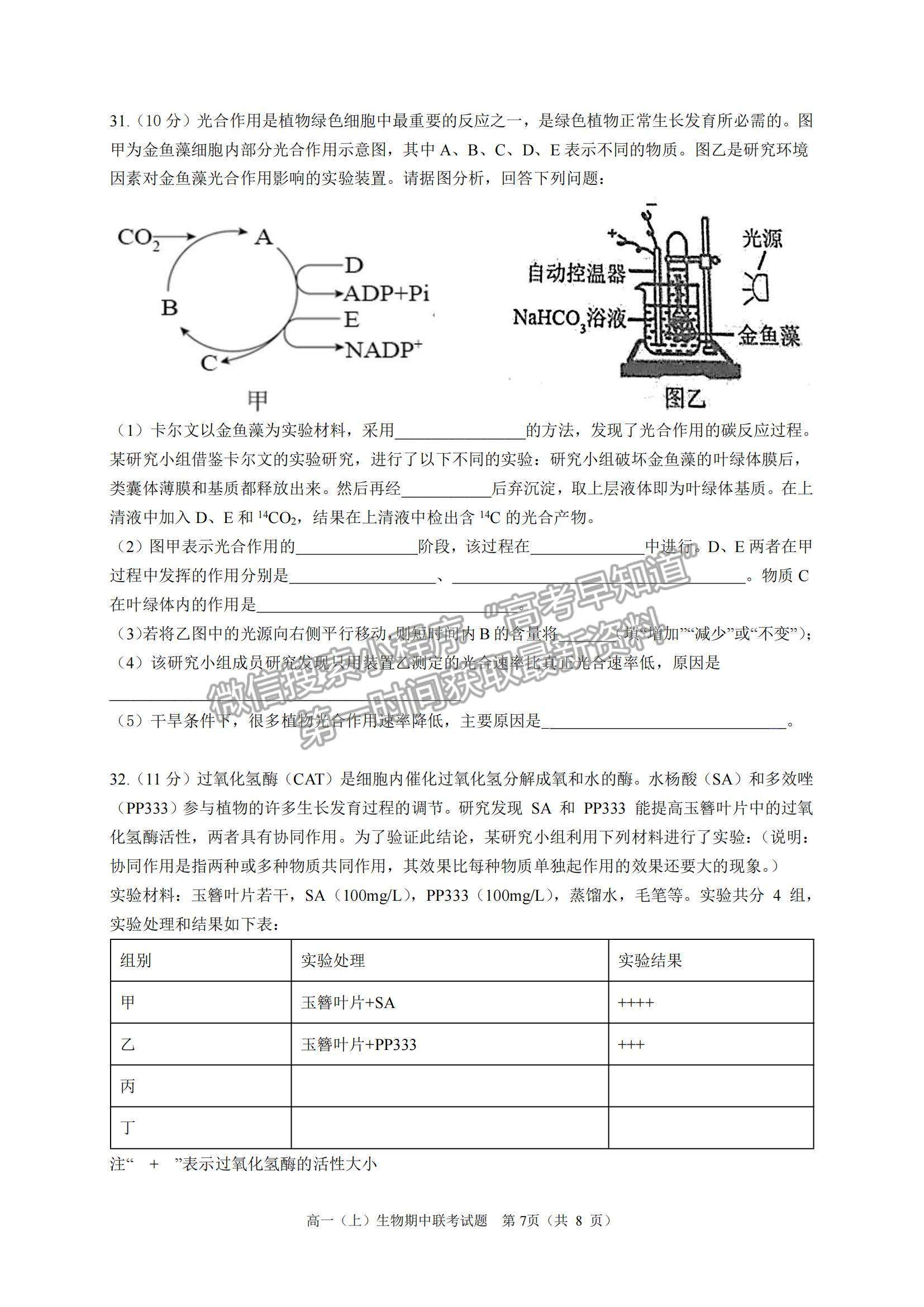 2022浙江省臺州市“十校聯(lián)盟”高一上學(xué)期期中考試生物試題及參考答案