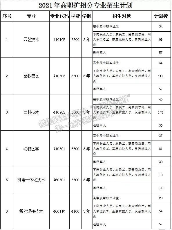 松原職業(yè)技術(shù)學(xué)院2021年高職擴(kuò)招專項(xiàng)考試報(bào)考指南