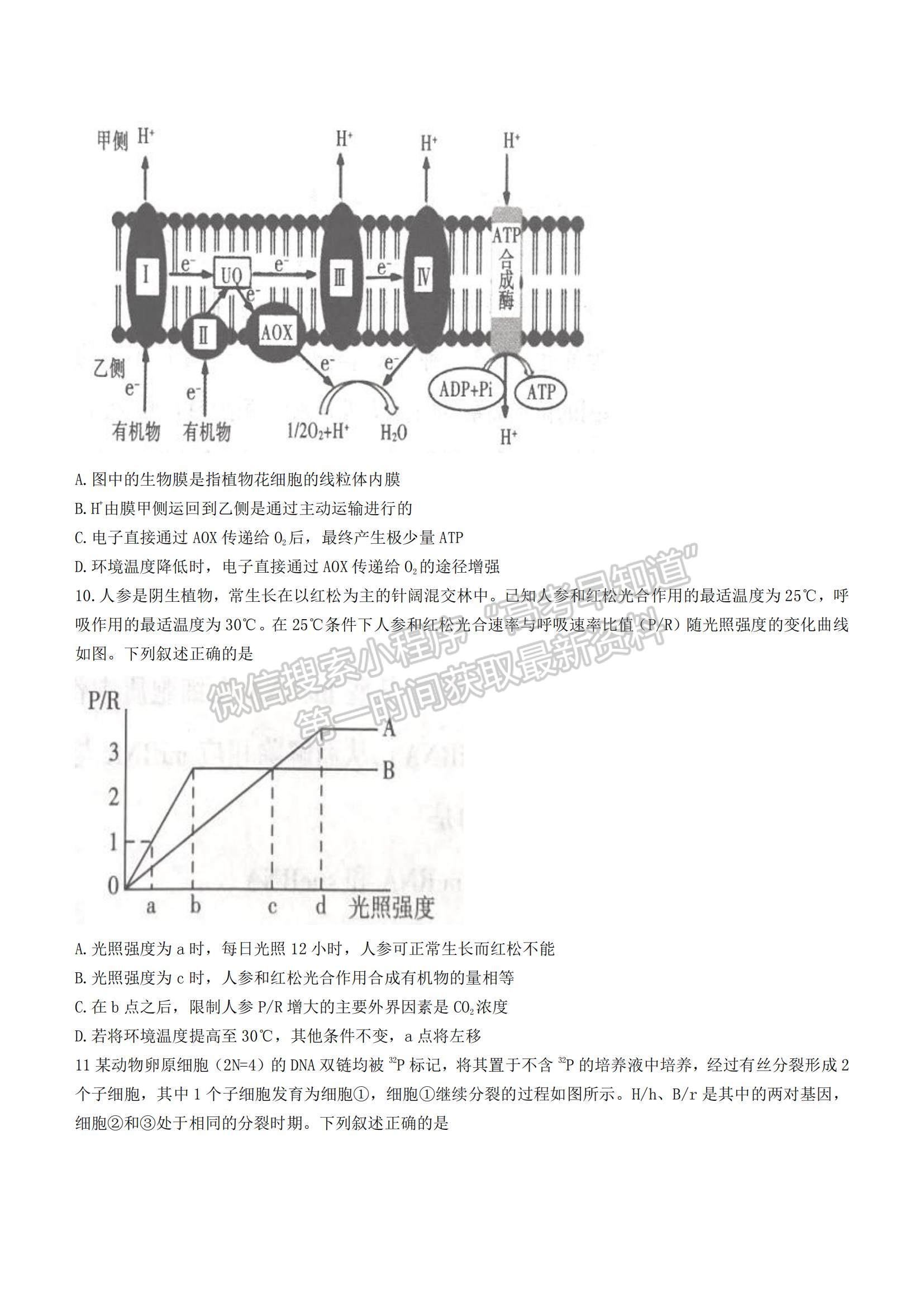 2022山東省臨沂市高三上學期期中考試生物試題及參考答案