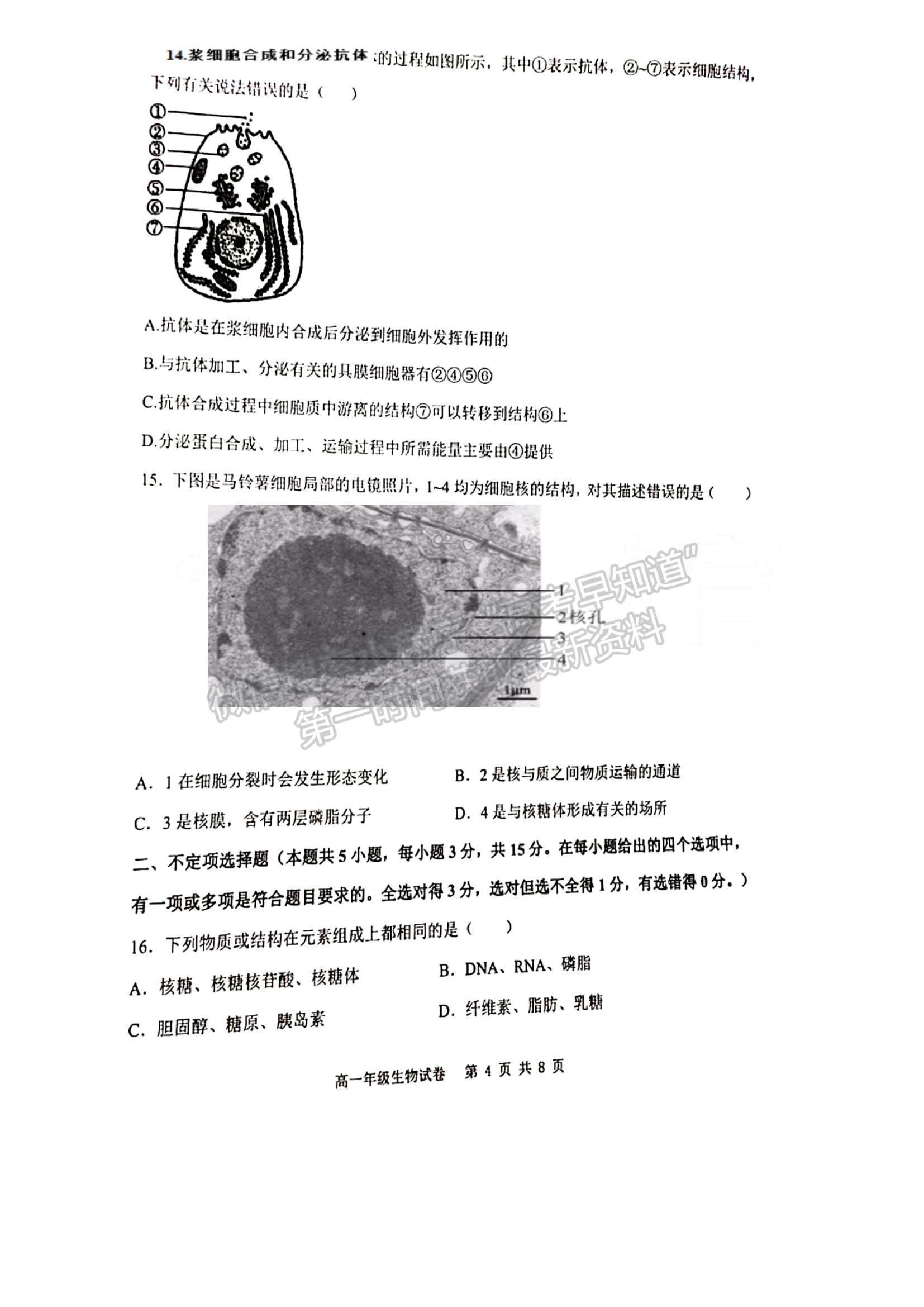 2022遼寧省沈陽市五校協(xié)作體高一上學(xué)期期中聯(lián)考生物試題及參考答案