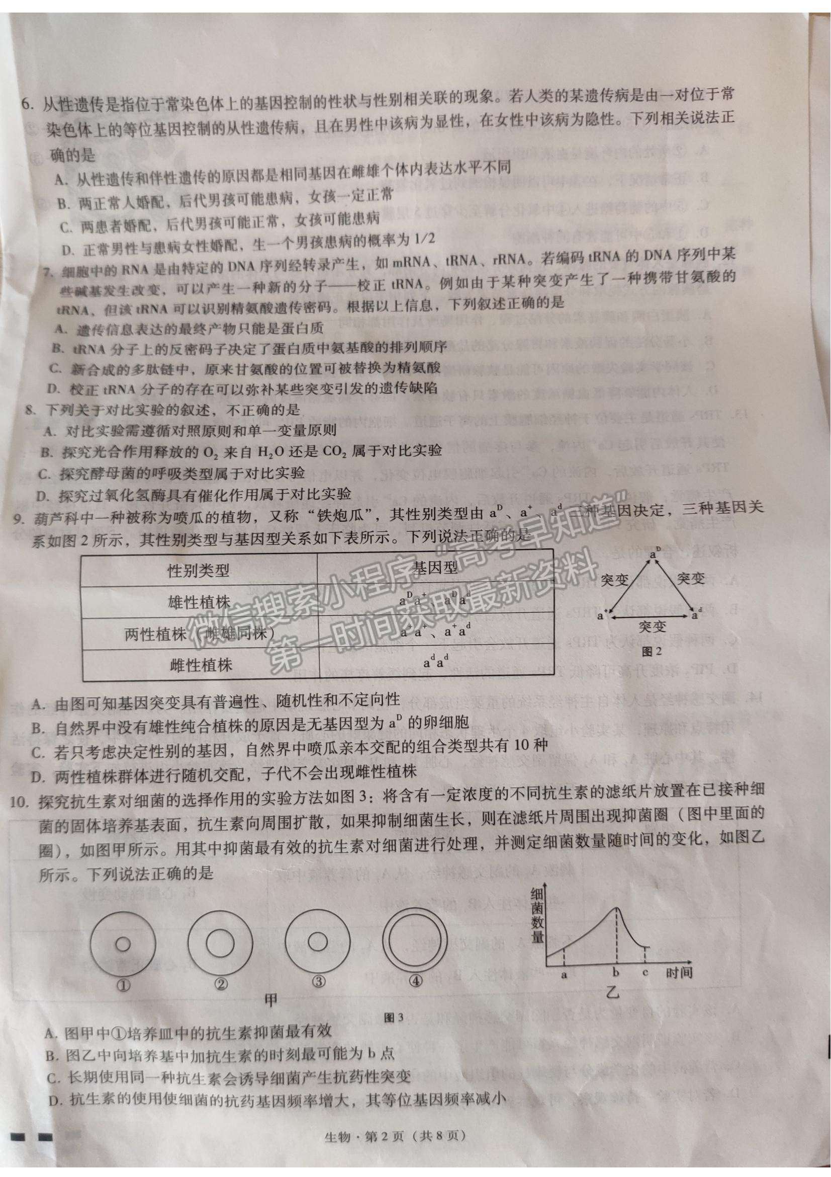 2022重慶巴蜀中學(xué)高考適應(yīng)性月考（四）生物試卷及答案