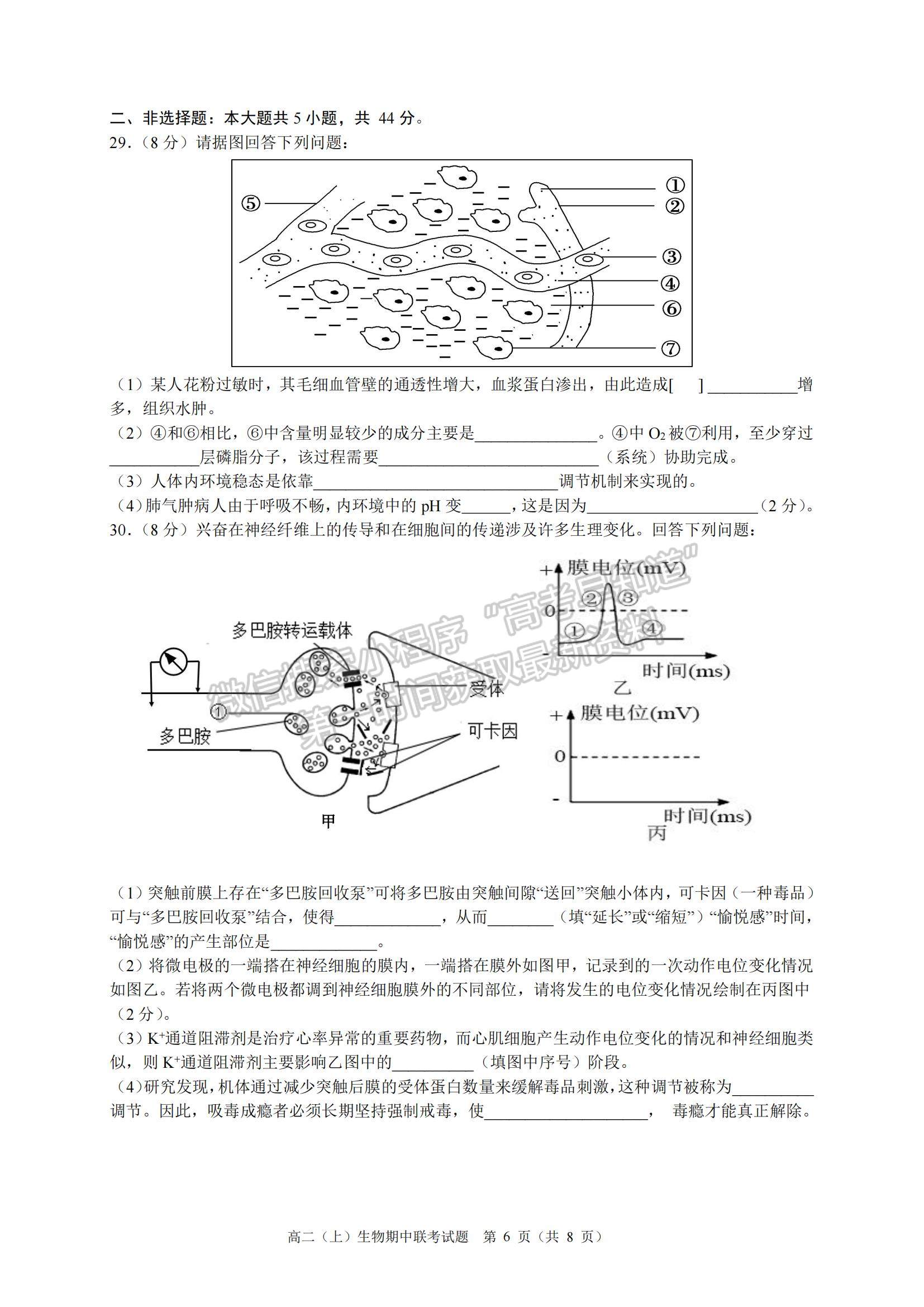 2022浙江省臺(tái)州市“十校聯(lián)盟”高二上學(xué)期期中考試生物試題及參考答案