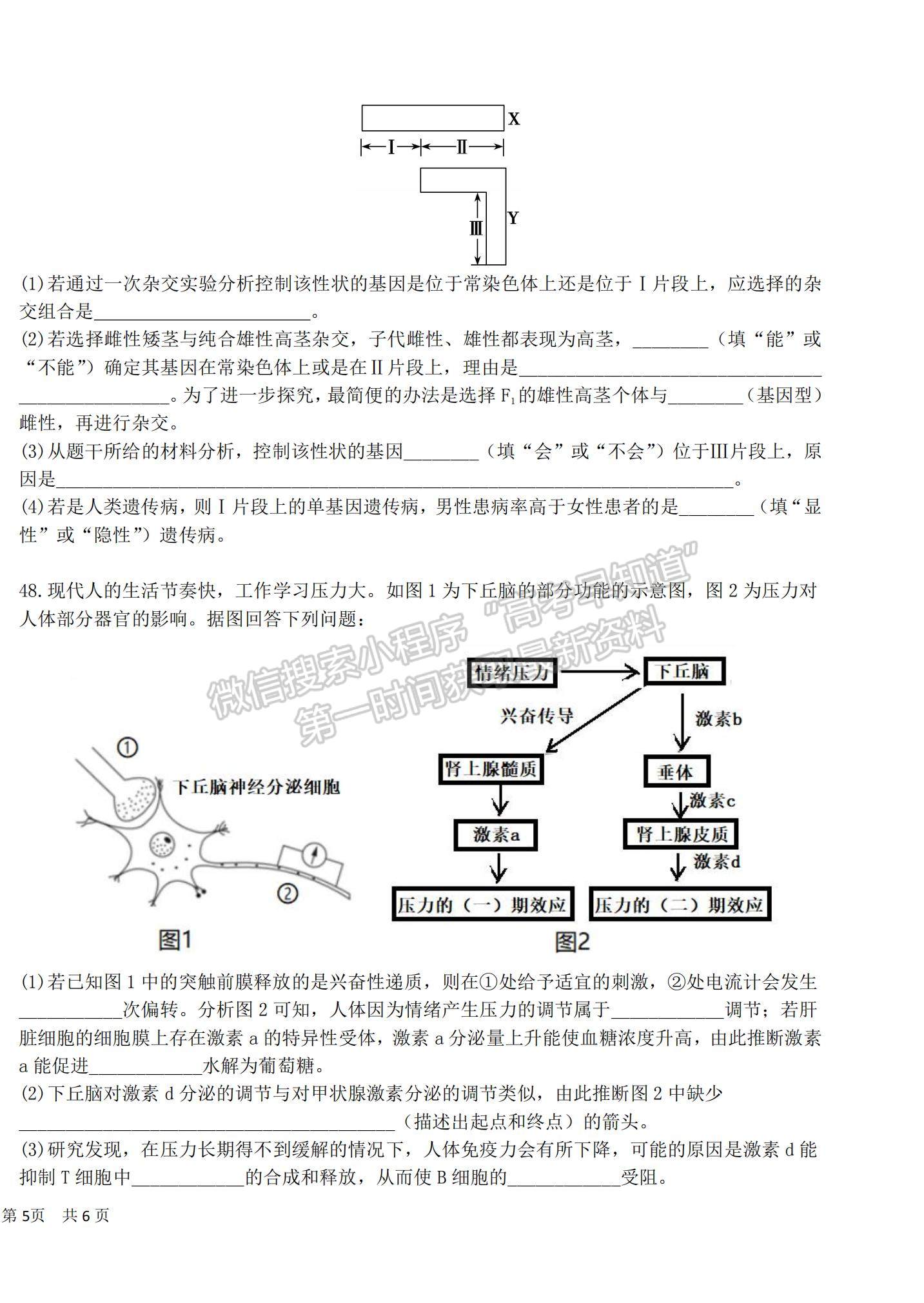 2022黑龍江省哈爾濱市第六中學高三上學期期中考試生物試題及參考答案