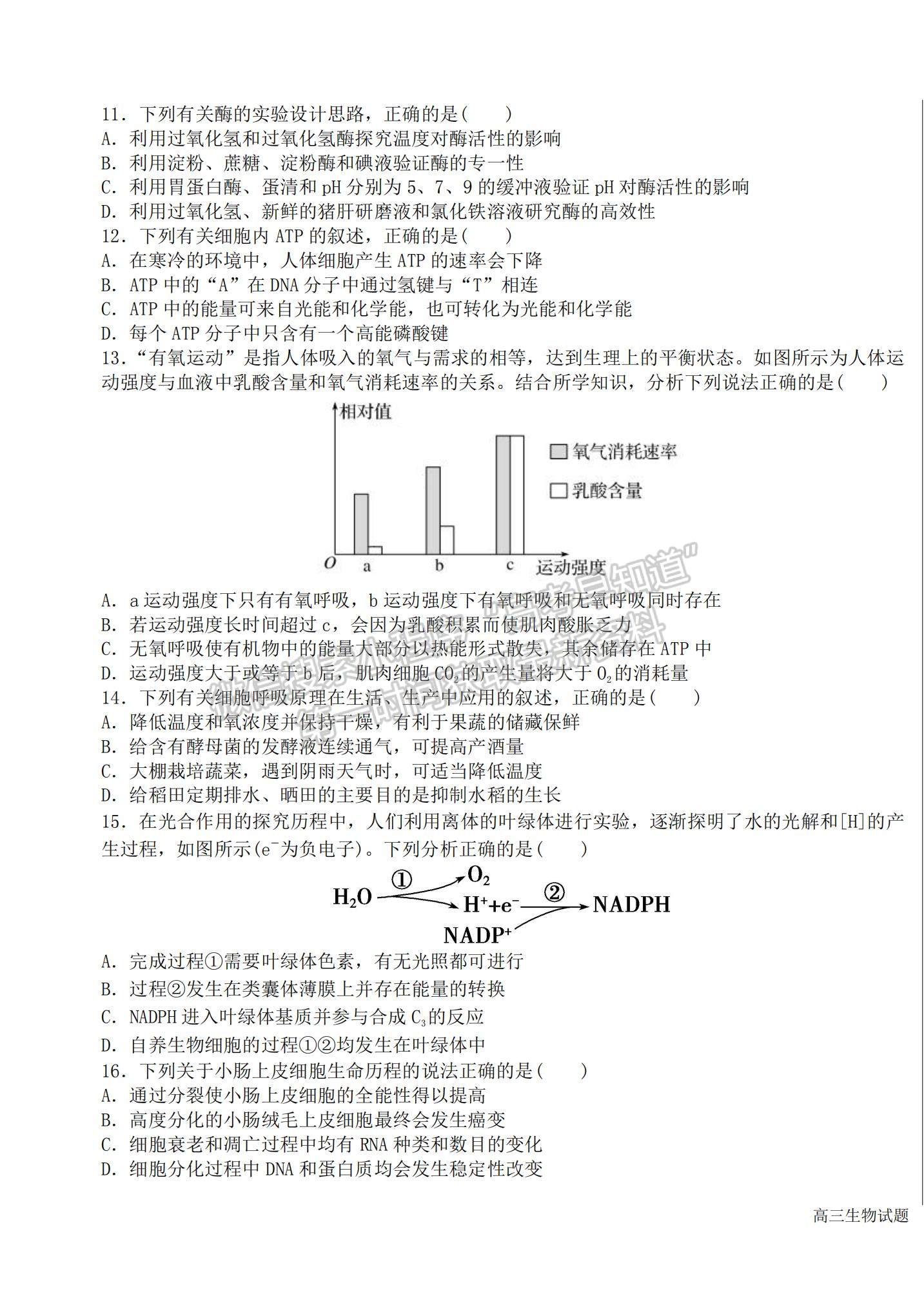 2022黑龍江省哈爾濱市第六中學(xué)高三上學(xué)期期中考試生物試題及參考答案