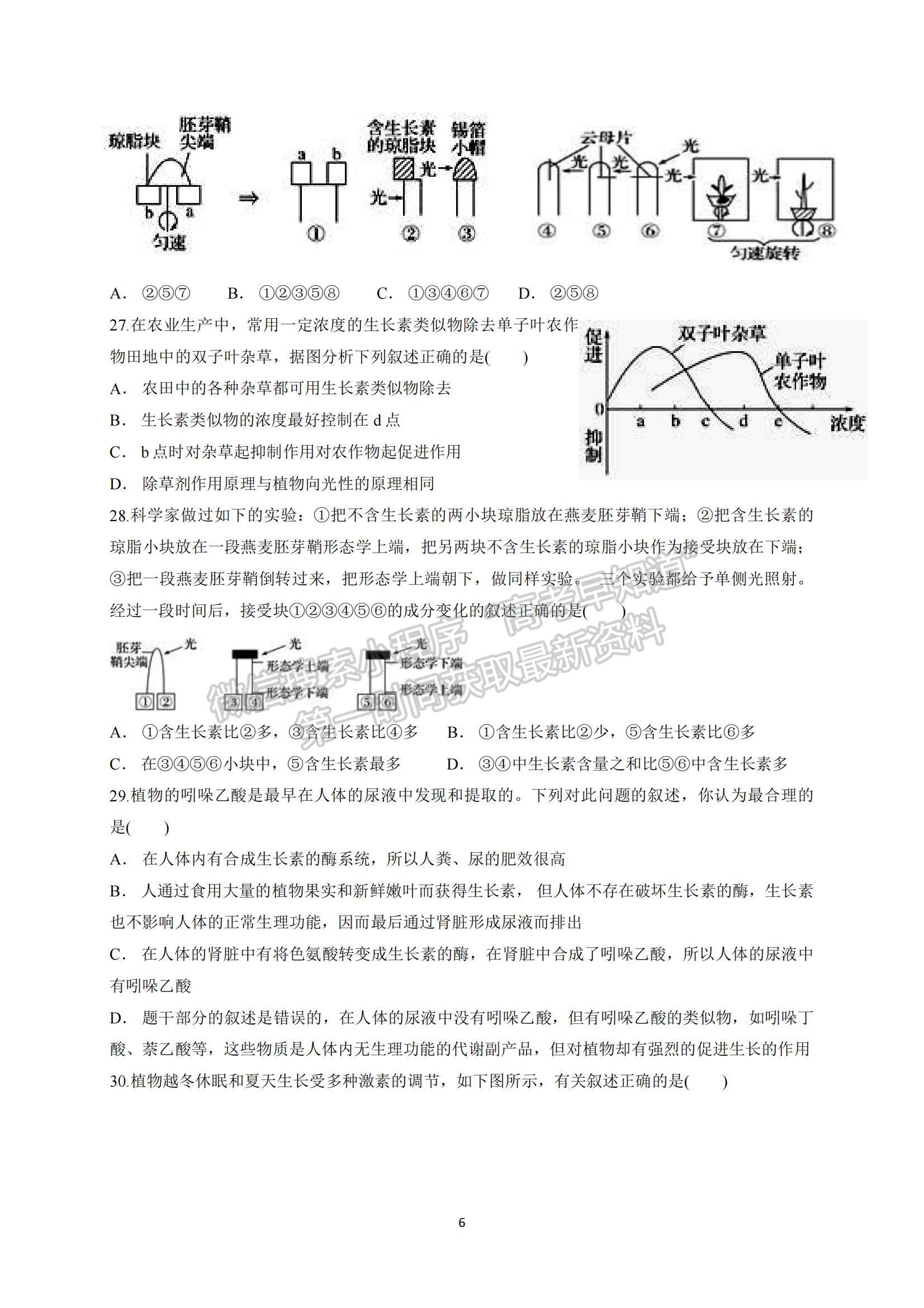 2022四川省內(nèi)江市威遠中學高二上學期期中考試生物試卷及答案