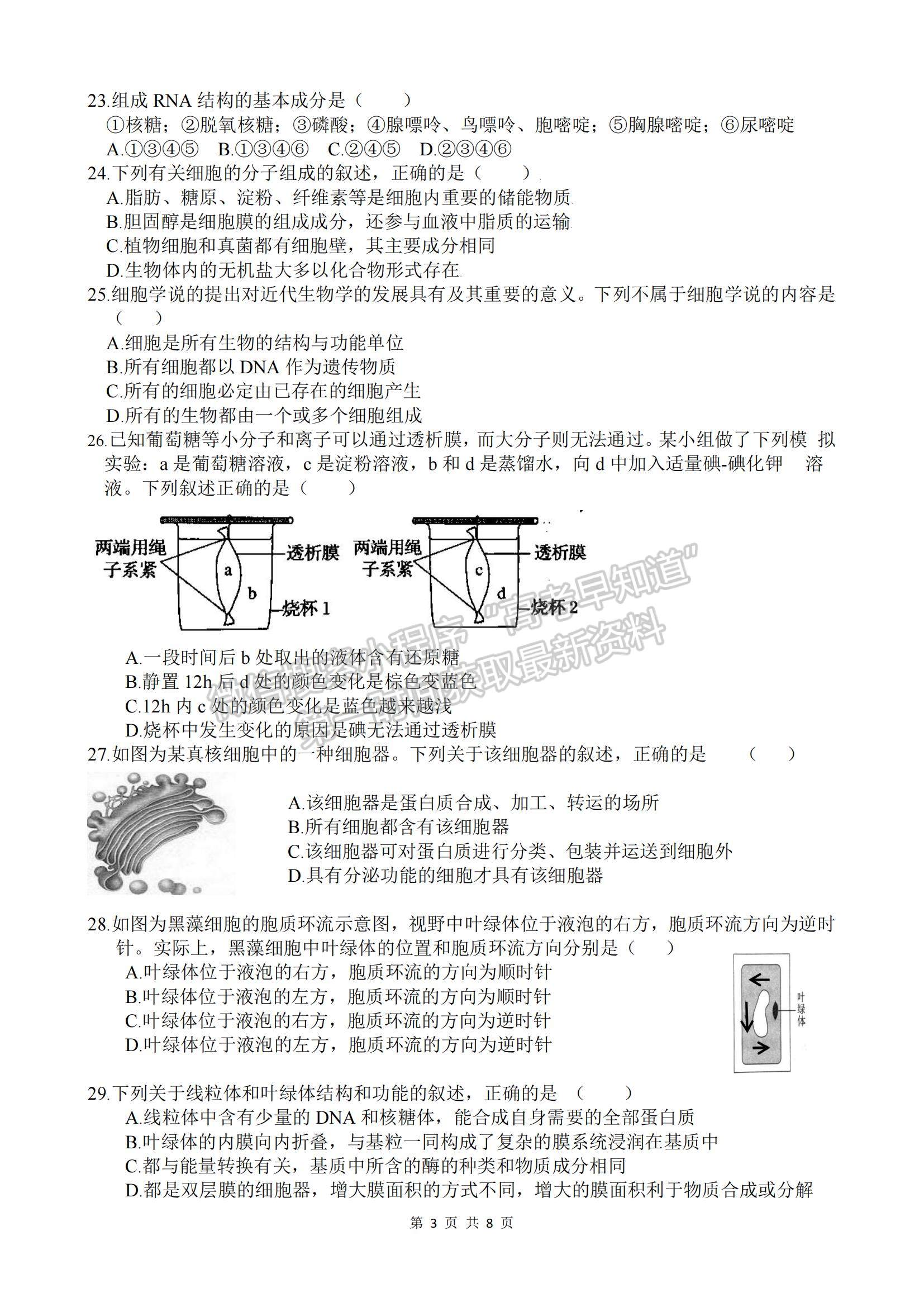 2022浙江省諸暨市第二高級中學高一上學期期中考試生物試卷及答案