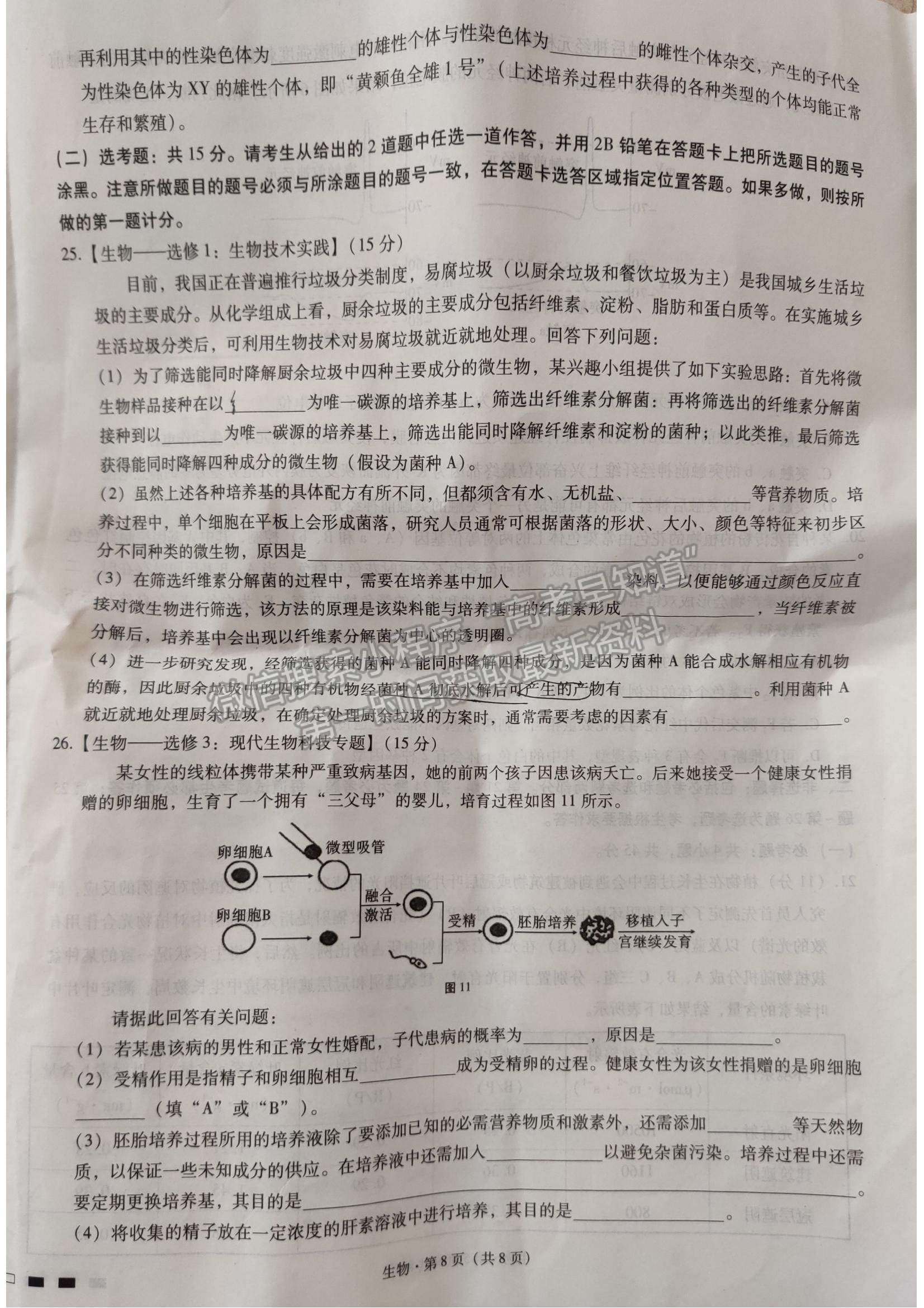 2022重慶巴蜀中學(xué)高考適應(yīng)性月考（四）生物試卷及答案