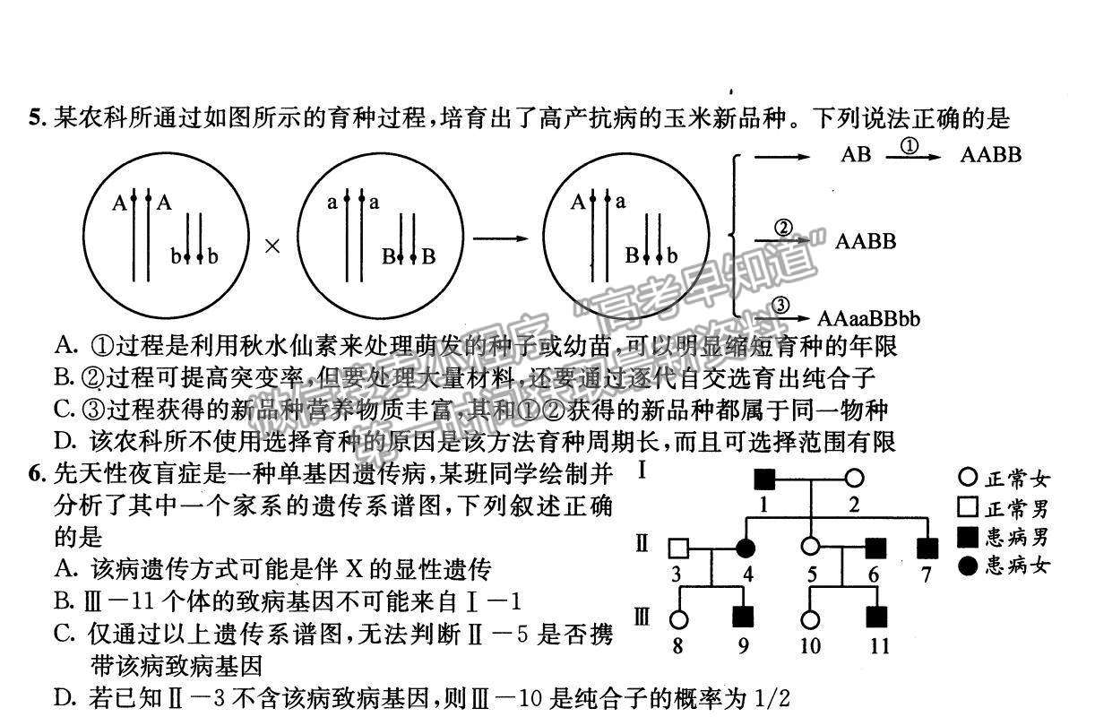 2022四川省成都石室中學(xué)高三上學(xué)期期中考試生物試題及參考答案