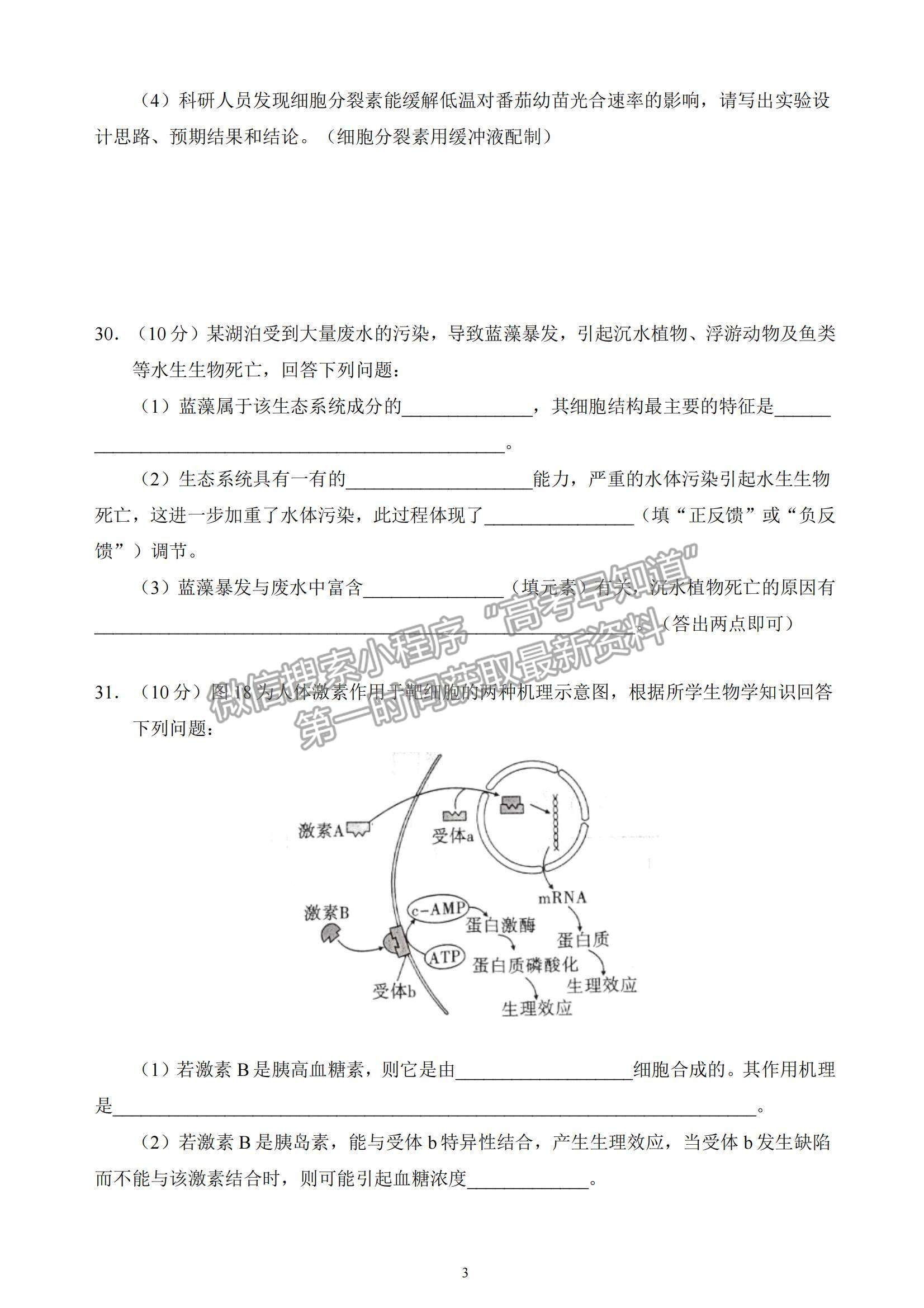 2022貴陽市五校高三上學(xué)期聯(lián)考（二）生物試題及參考答案