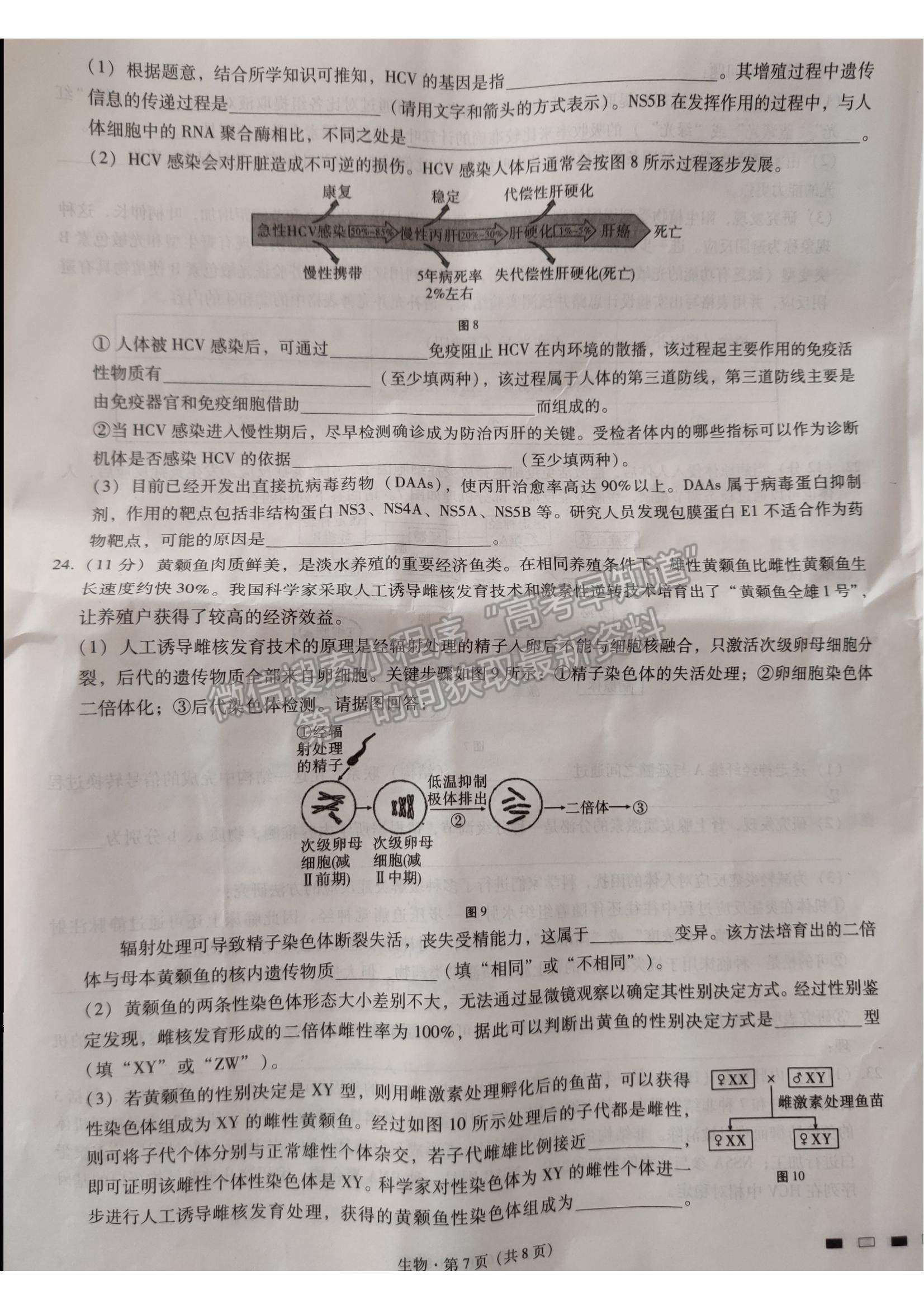 2022重慶巴蜀中學(xué)高考適應(yīng)性月考（四）生物試卷及答案