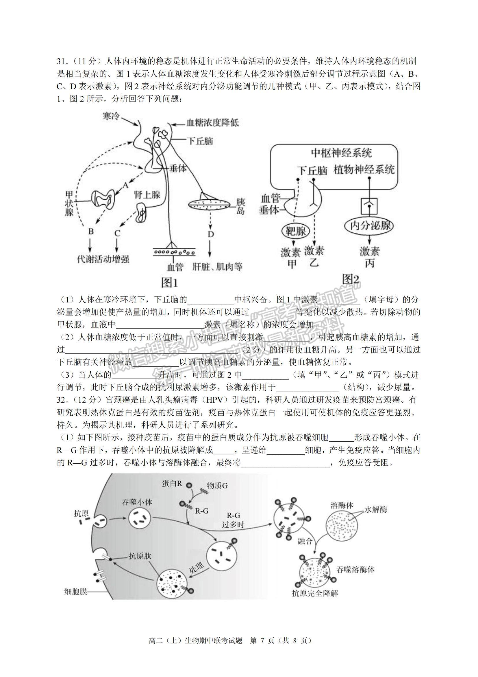 2022浙江省臺(tái)州市“十校聯(lián)盟”高二上學(xué)期期中考試生物試題及參考答案