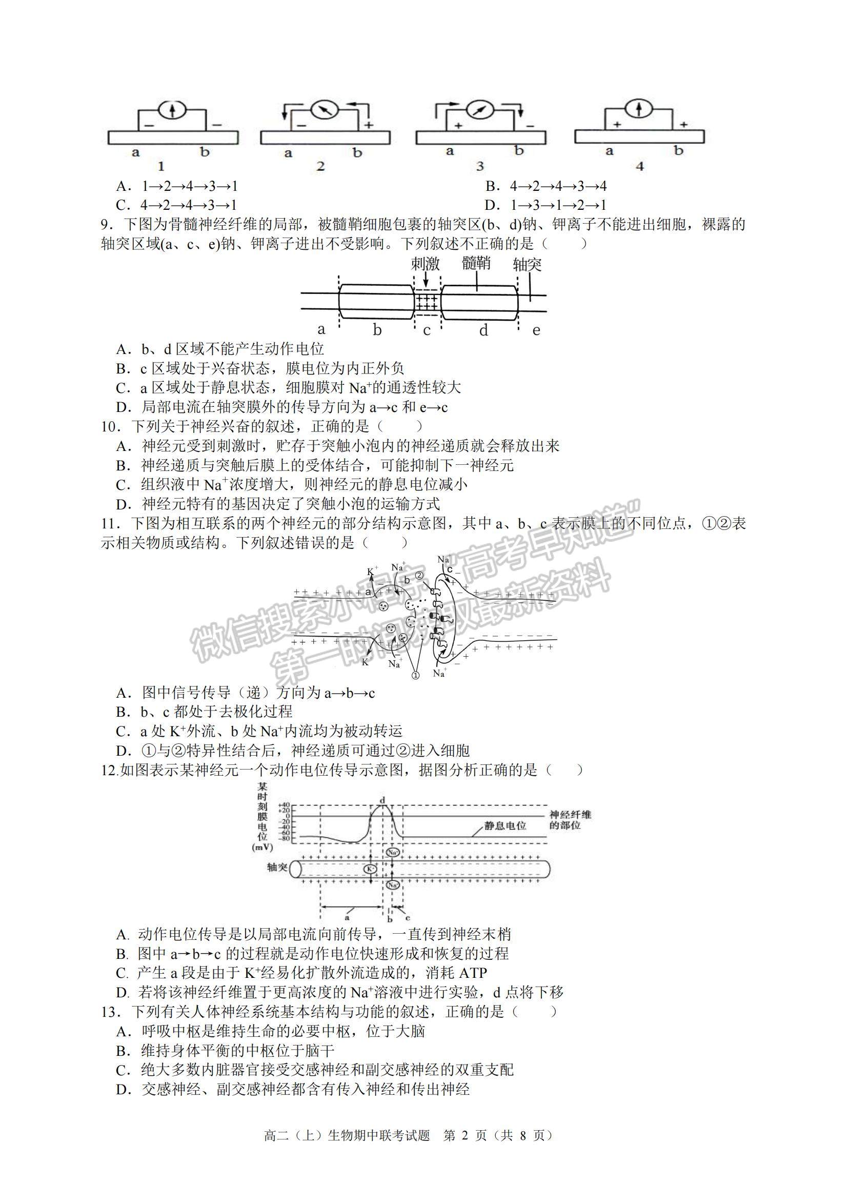 2022浙江省臺州市“十校聯(lián)盟”高二上學期期中考試生物試題及參考答案