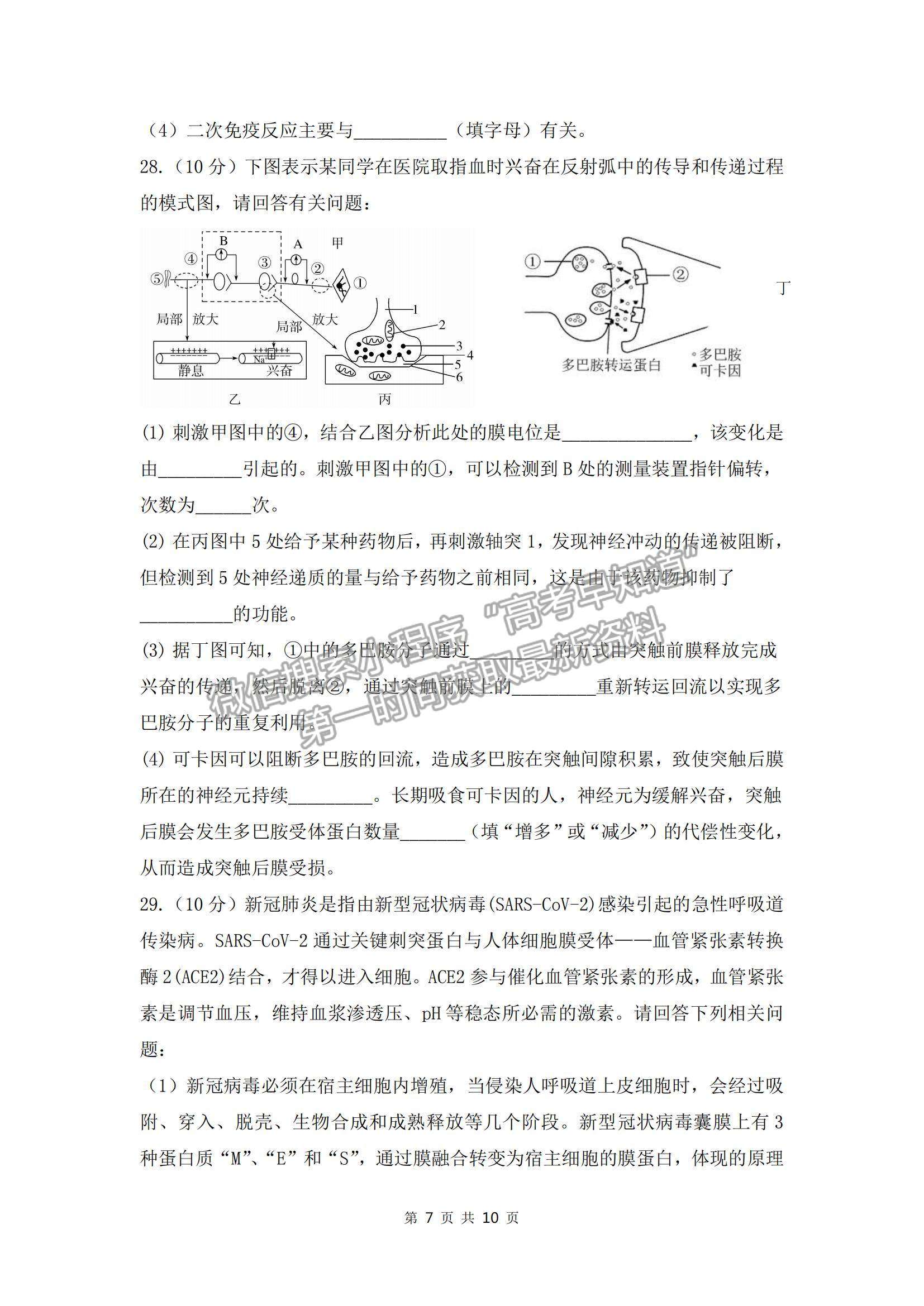 2022浙江省諸暨市第二高級中學(xué)高二上學(xué)期期中考試生物試卷及答案