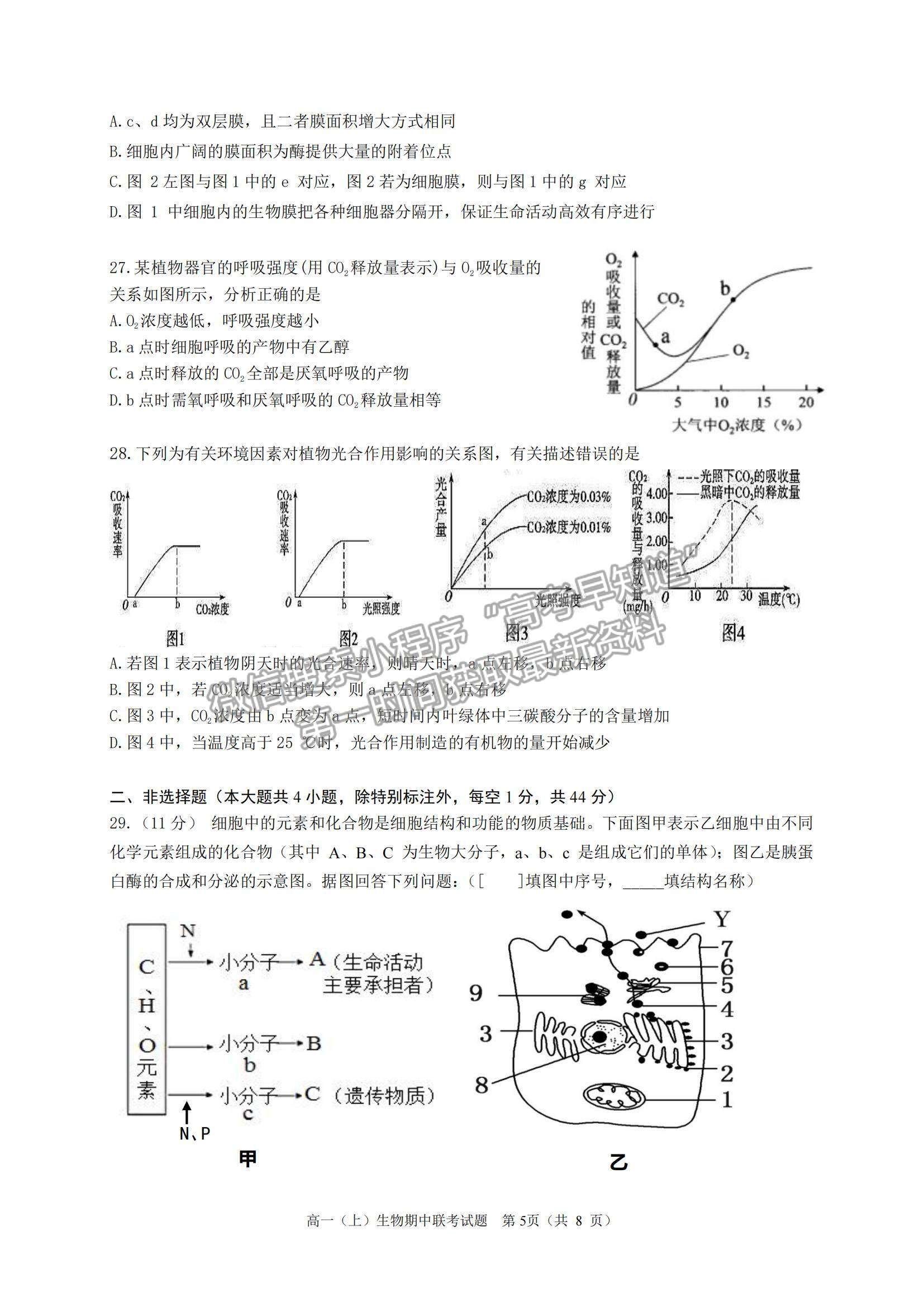 2022浙江省臺州市“十校聯(lián)盟”高一上學(xué)期期中考試生物試題及參考答案