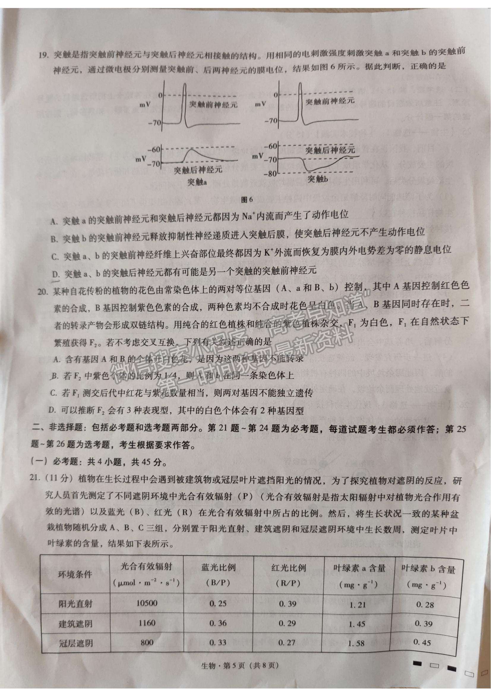 2022重慶巴蜀中學(xué)高考適應(yīng)性月考（四）生物試卷及答案