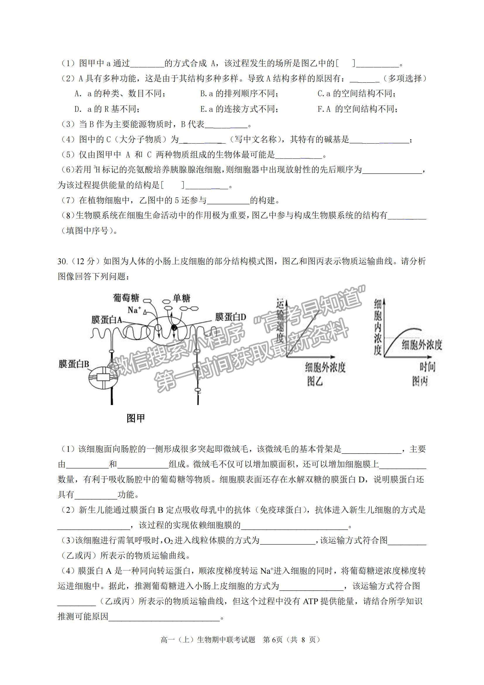 2022浙江省臺州市“十校聯(lián)盟”高一上學(xué)期期中考試生物試題及參考答案