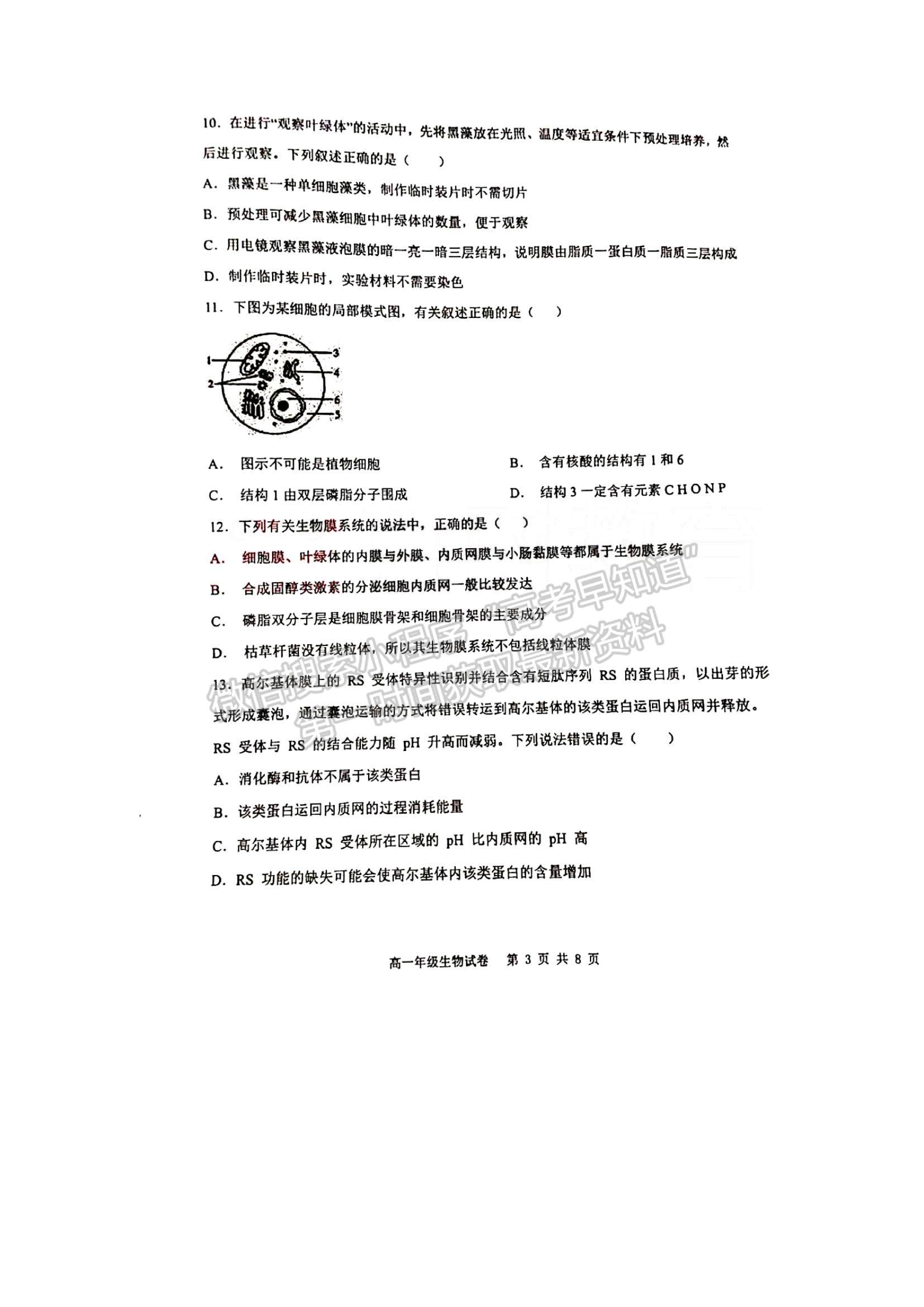 2022遼寧省沈陽(yáng)市五校協(xié)作體高一上學(xué)期期中聯(lián)考生物試題及參考答案