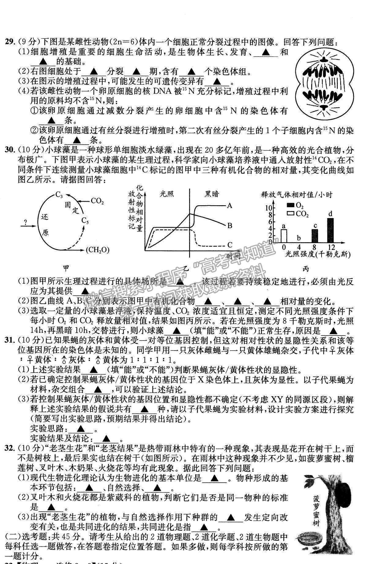 2022四川省成都石室中學(xué)高三上學(xué)期期中考試生物試題及參考答案