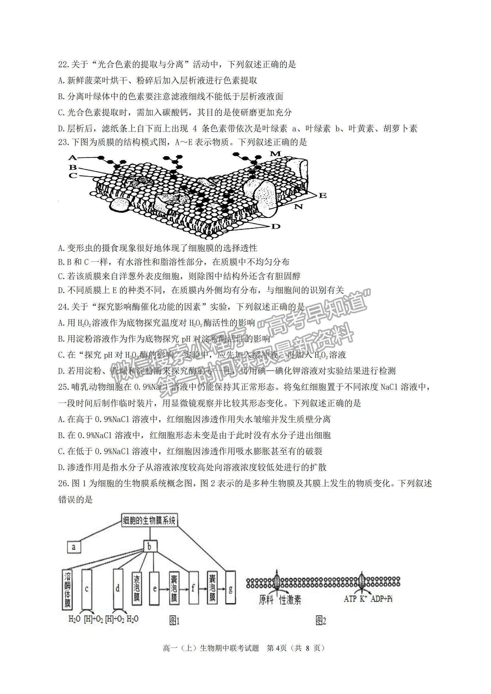 2022浙江省臺州市“十校聯(lián)盟”高一上學(xué)期期中考試生物試題及參考答案