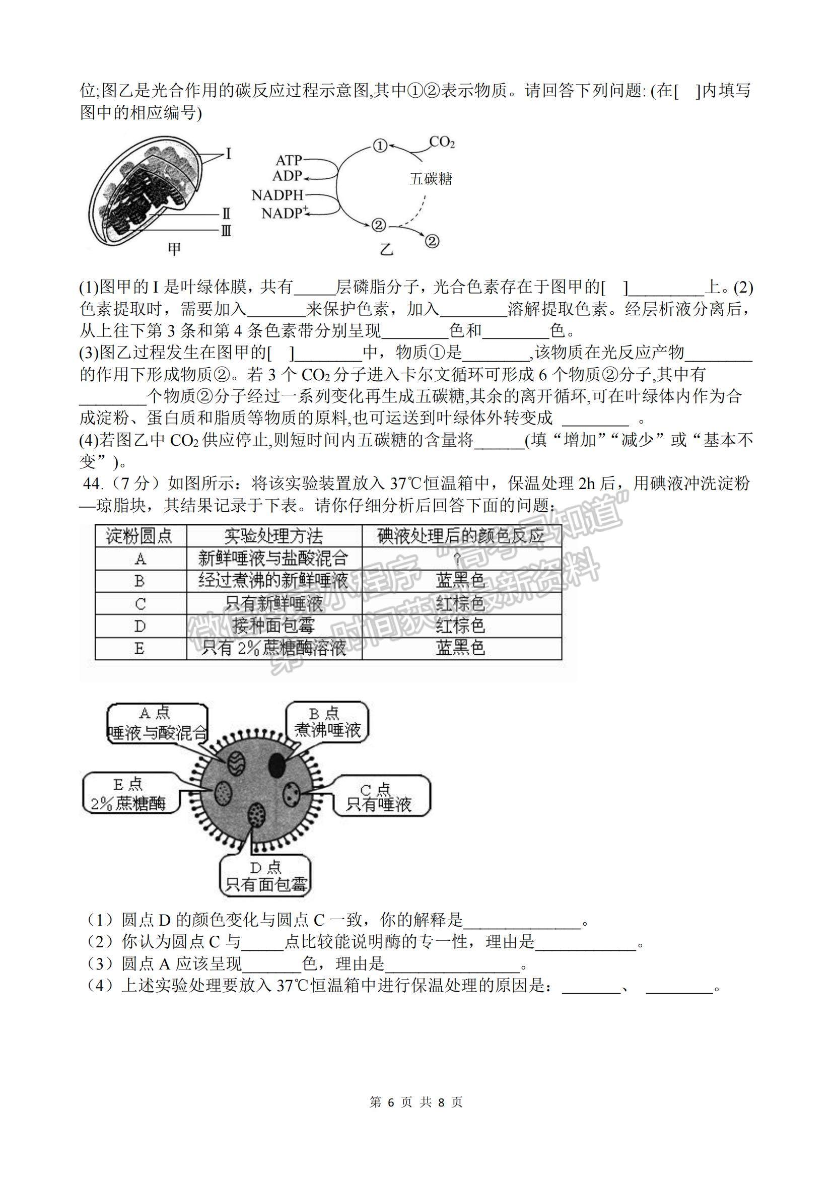 2022浙江省諸暨市第二高級(jí)中學(xué)高一上學(xué)期期中考試生物試卷及答案