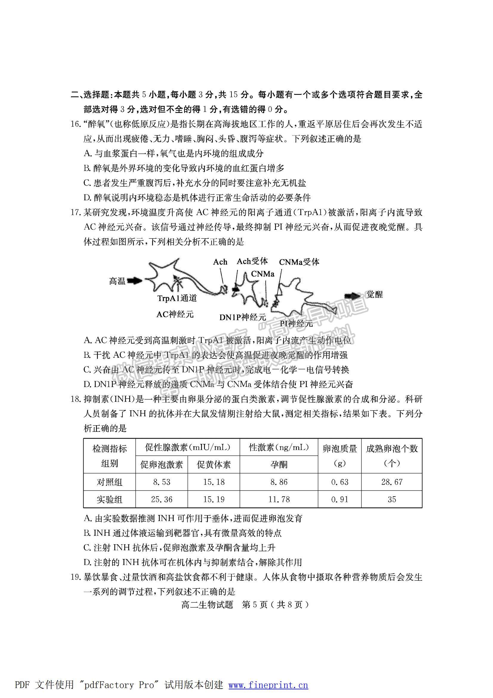 2022山東省臨沂市蘭山區(qū)、羅莊區(qū)高二上學(xué)期期中考試生物試卷及答案