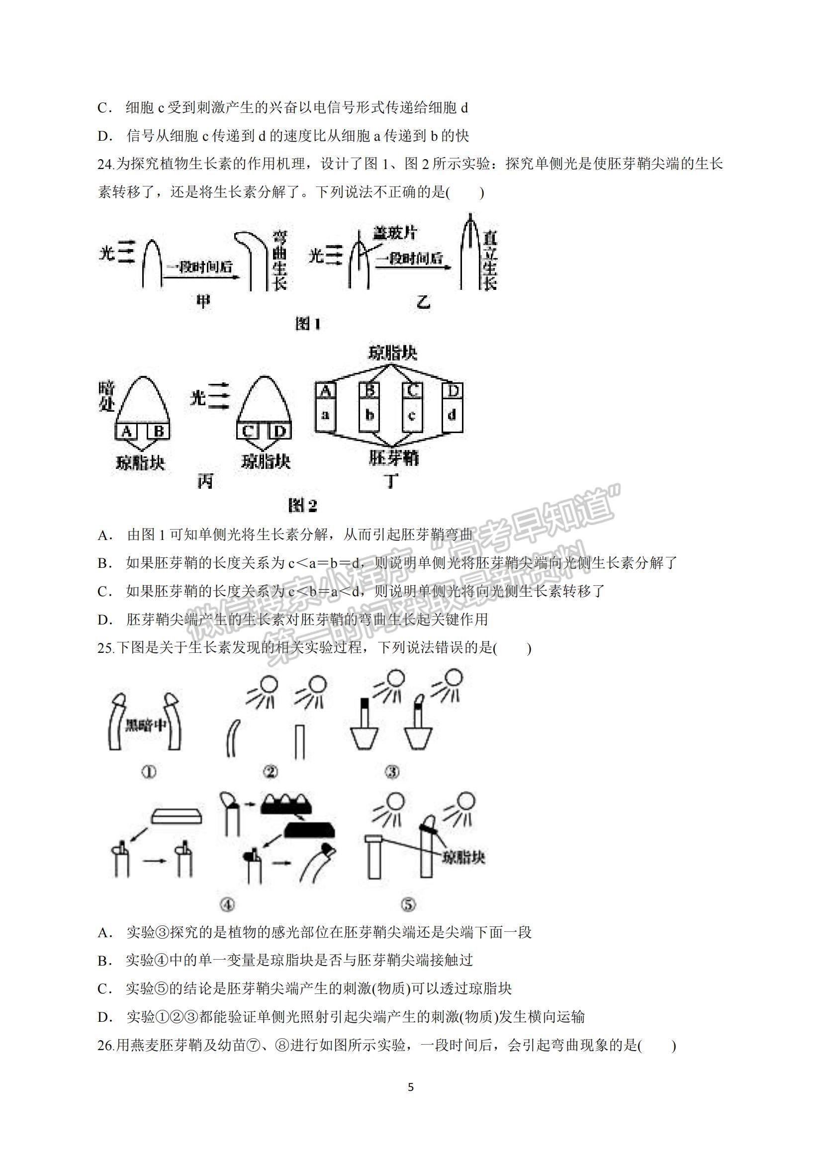 2022四川省內(nèi)江市威遠中學高二上學期期中考試生物試卷及答案