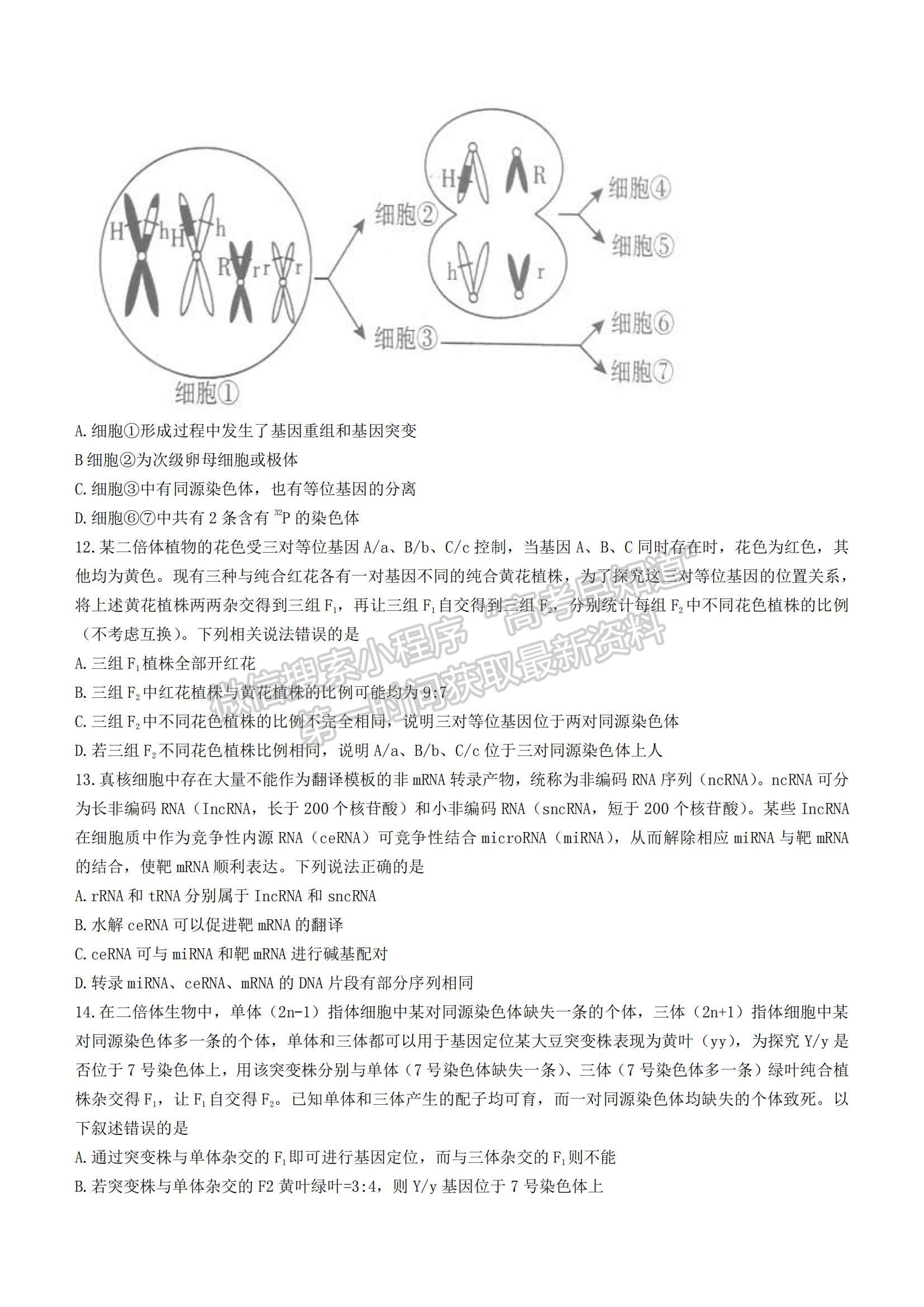 2022山東省臨沂市高三上學(xué)期期中考試生物試題及參考答案