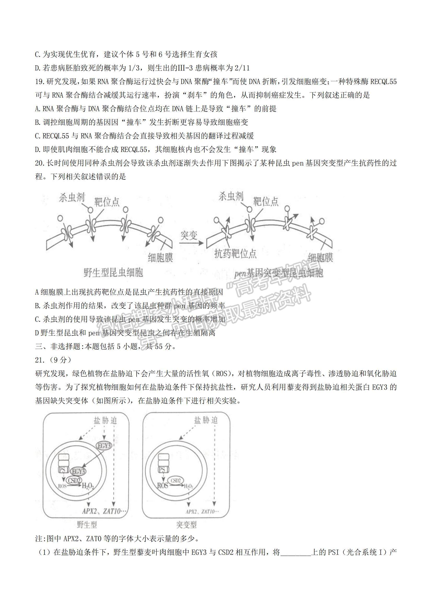 2022山東省臨沂市高三上學(xué)期期中考試生物試題及參考答案