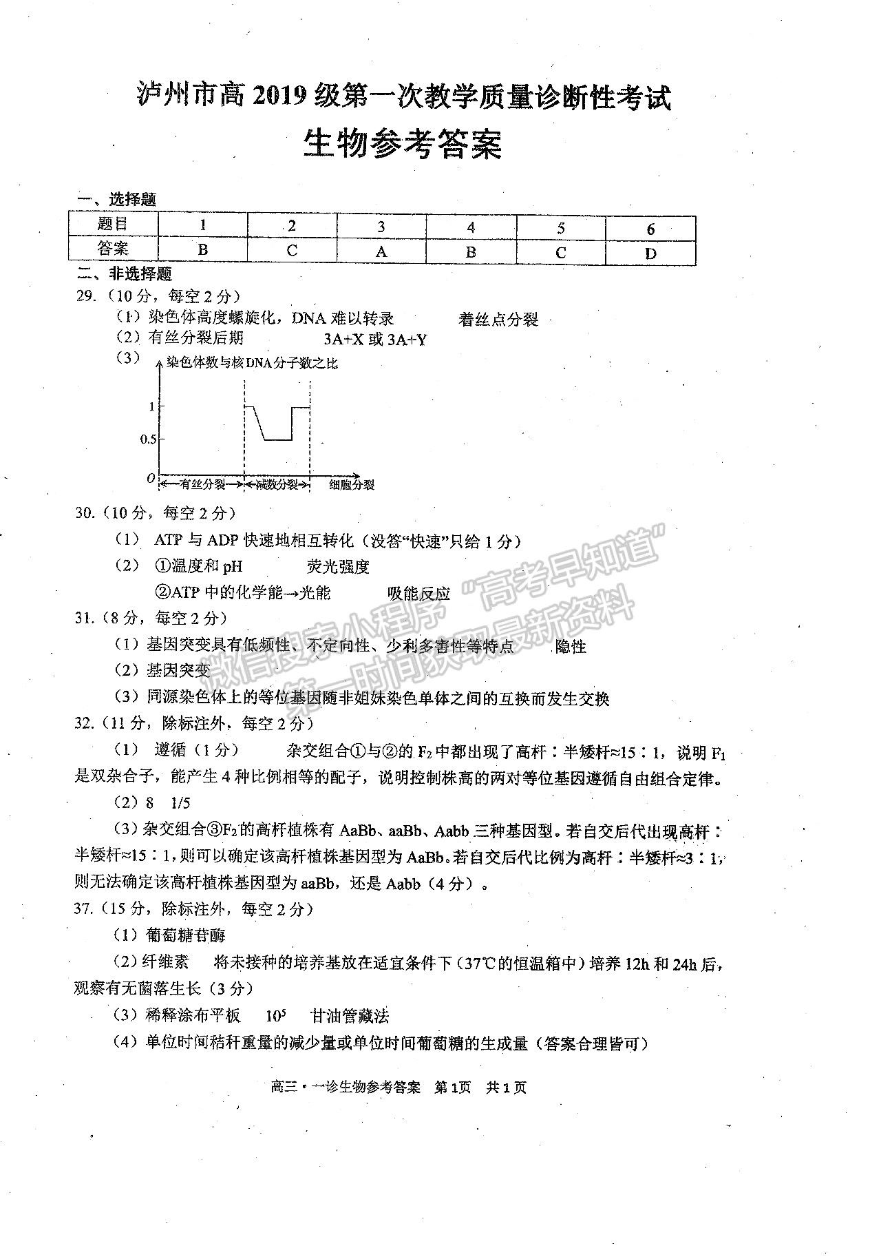 2022四川省瀘州市高2019級(jí)第一次教學(xué)質(zhì)量診斷性考試?yán)砜凭C合試題答案