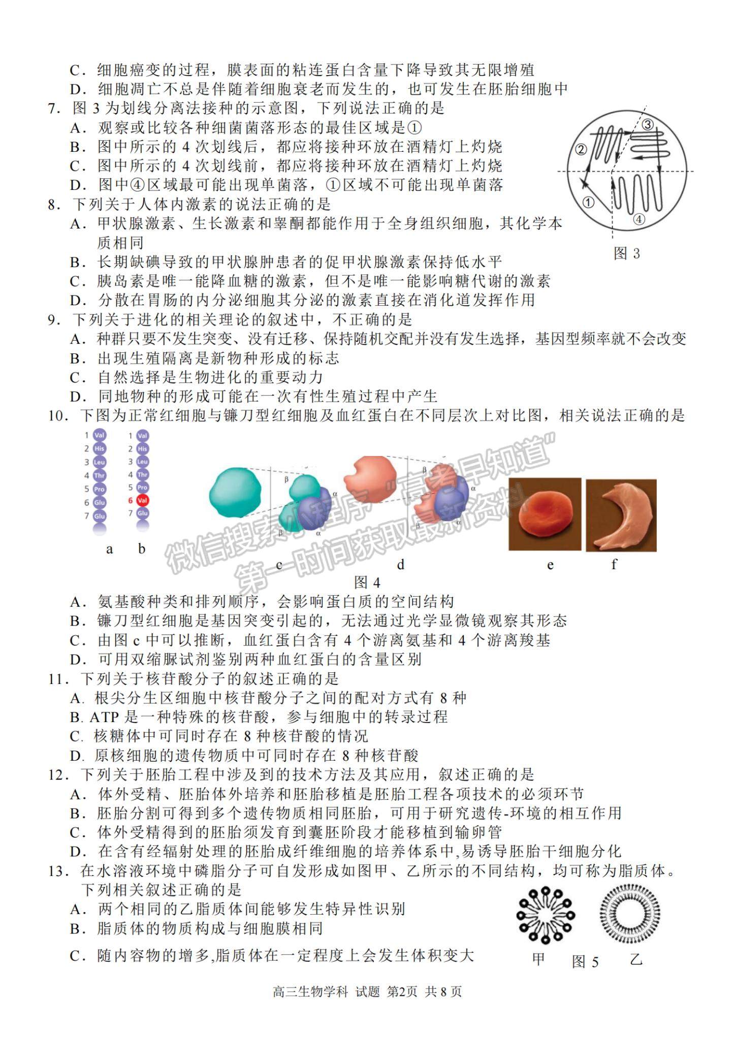 2022浙江省七彩陽光新高考研究聯(lián)盟高三上學(xué)期期中聯(lián)考生物試卷及答案