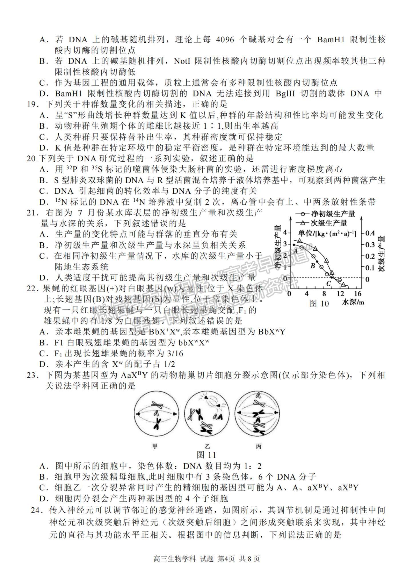 2022浙江省七彩陽光新高考研究聯(lián)盟高三上學(xué)期期中聯(lián)考生物試卷及答案