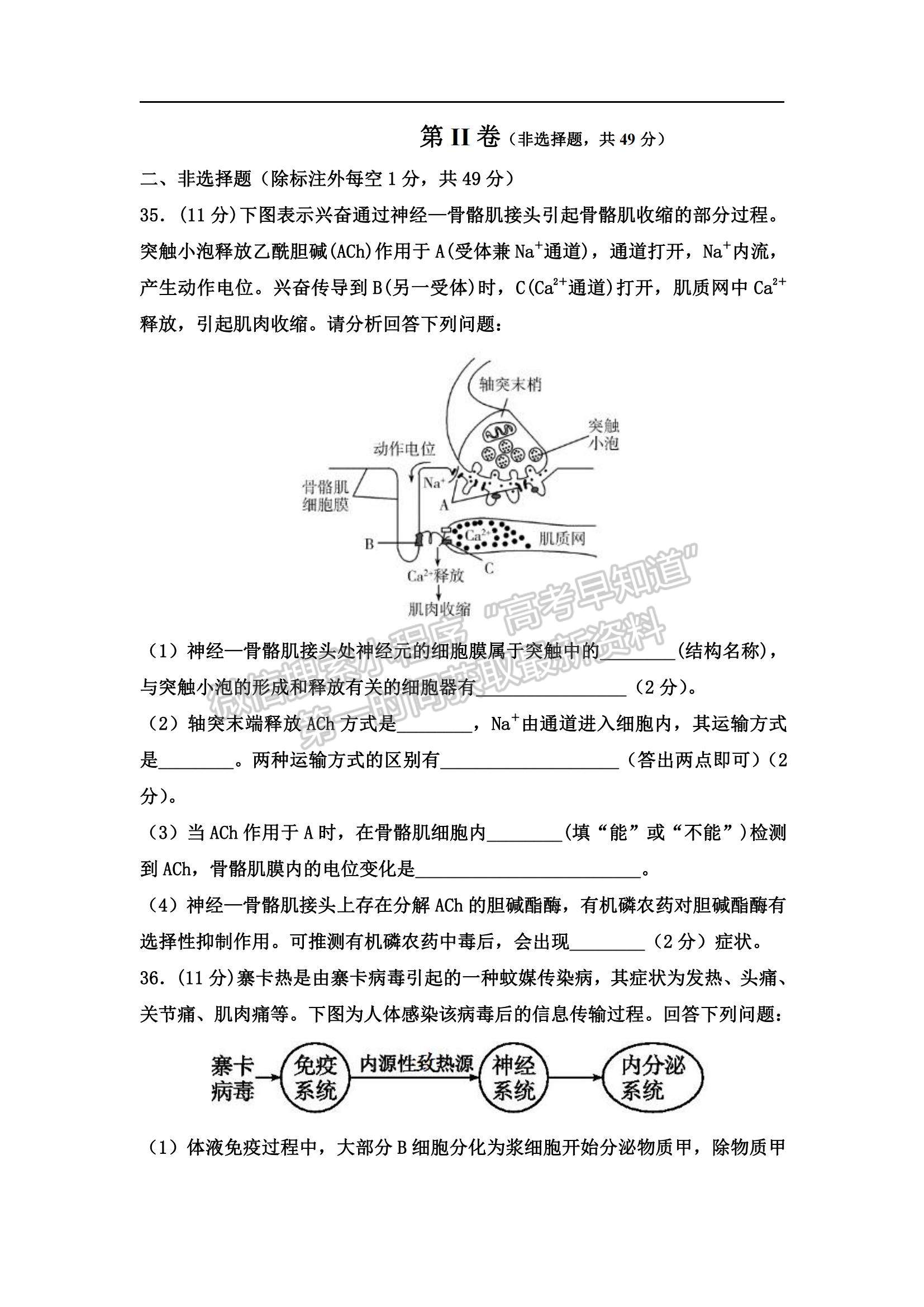 2022吉林省長(zhǎng)春市希望高中高二上學(xué)期期中考試生物試題及參考答案